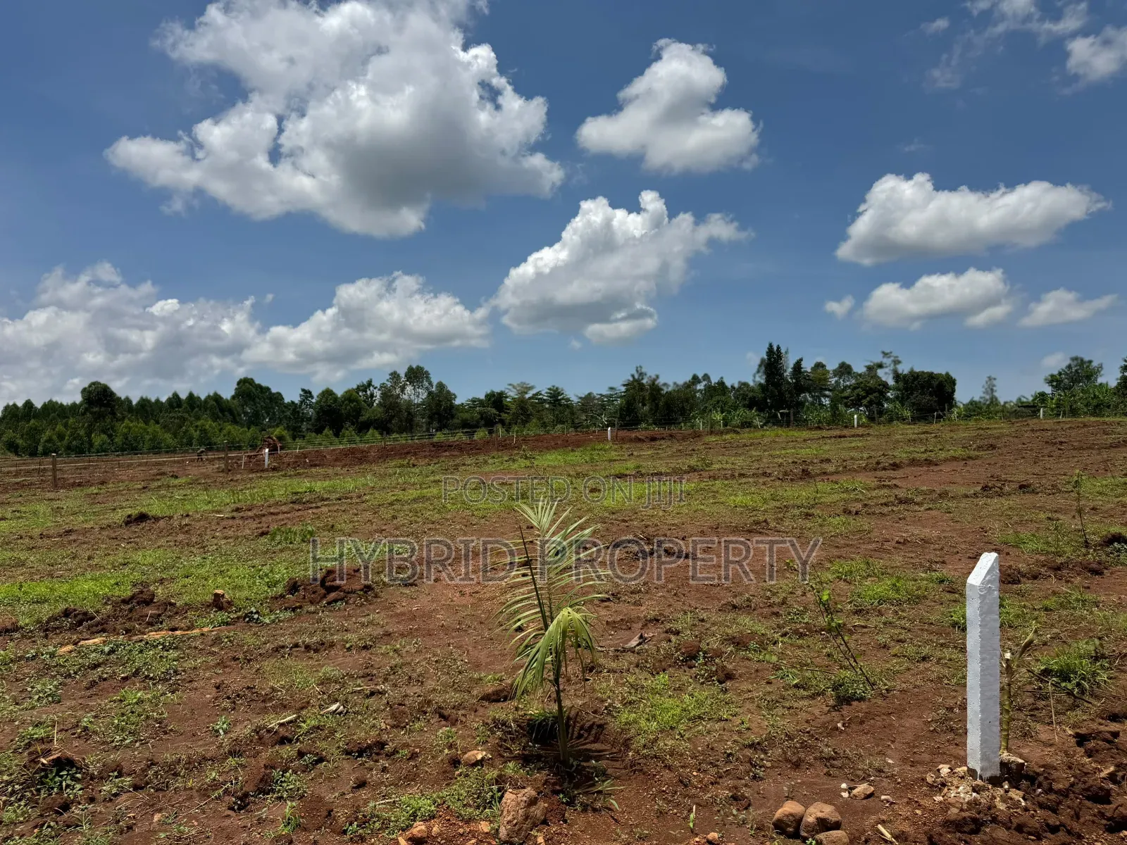 Prime Plots for Sale at Mpigi~Bubezi Modern Land Estate~Masaka Road X in Mpigi / Mpigi