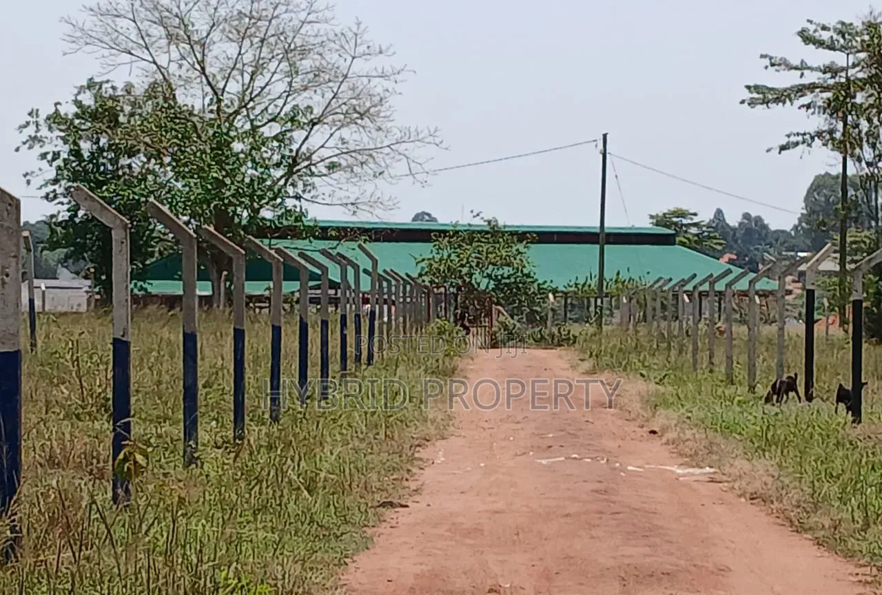 Prime Plots for Sale at Busiika~Wabikokoma Modern Estate~Gayaza Road. in Kalagala