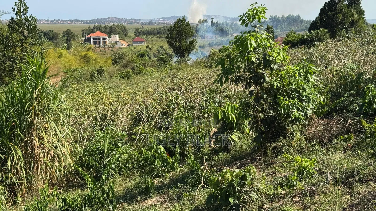 Canan Sites Ngogolo,sisa 100 by 100 in Ssisa