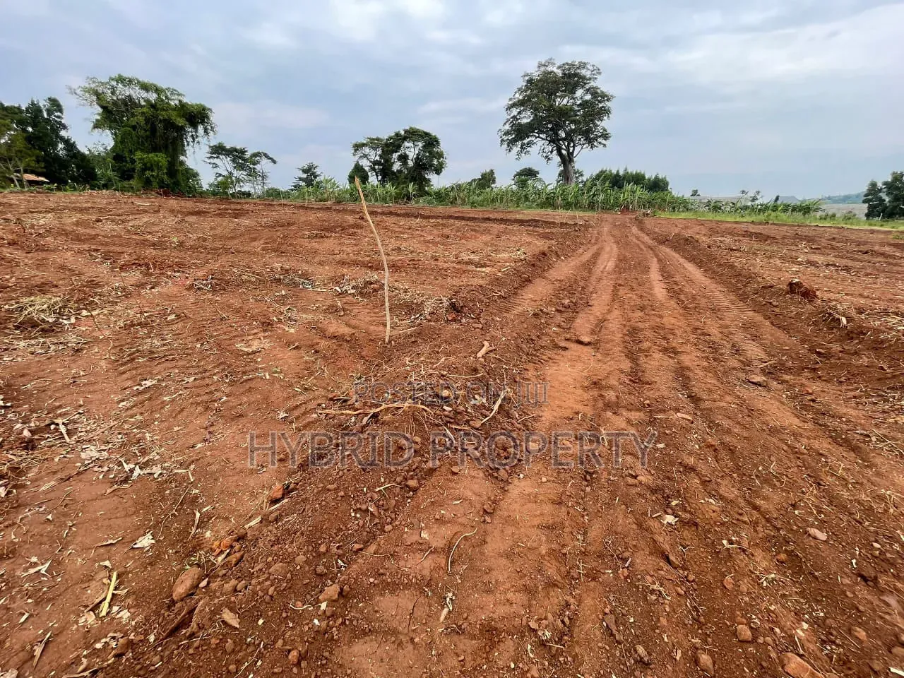 Prime Plots for Sale at Kakiri~Gobero Muguluka Divine Estate~Hoima Rd. in Kakiri