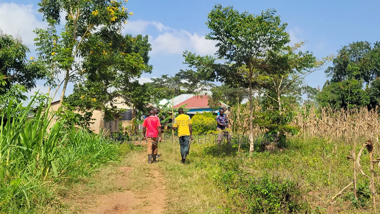 Kakiri Gobero 50×50 Ft at 5M ,50x100 at 9m in Wakiso / Wakiso