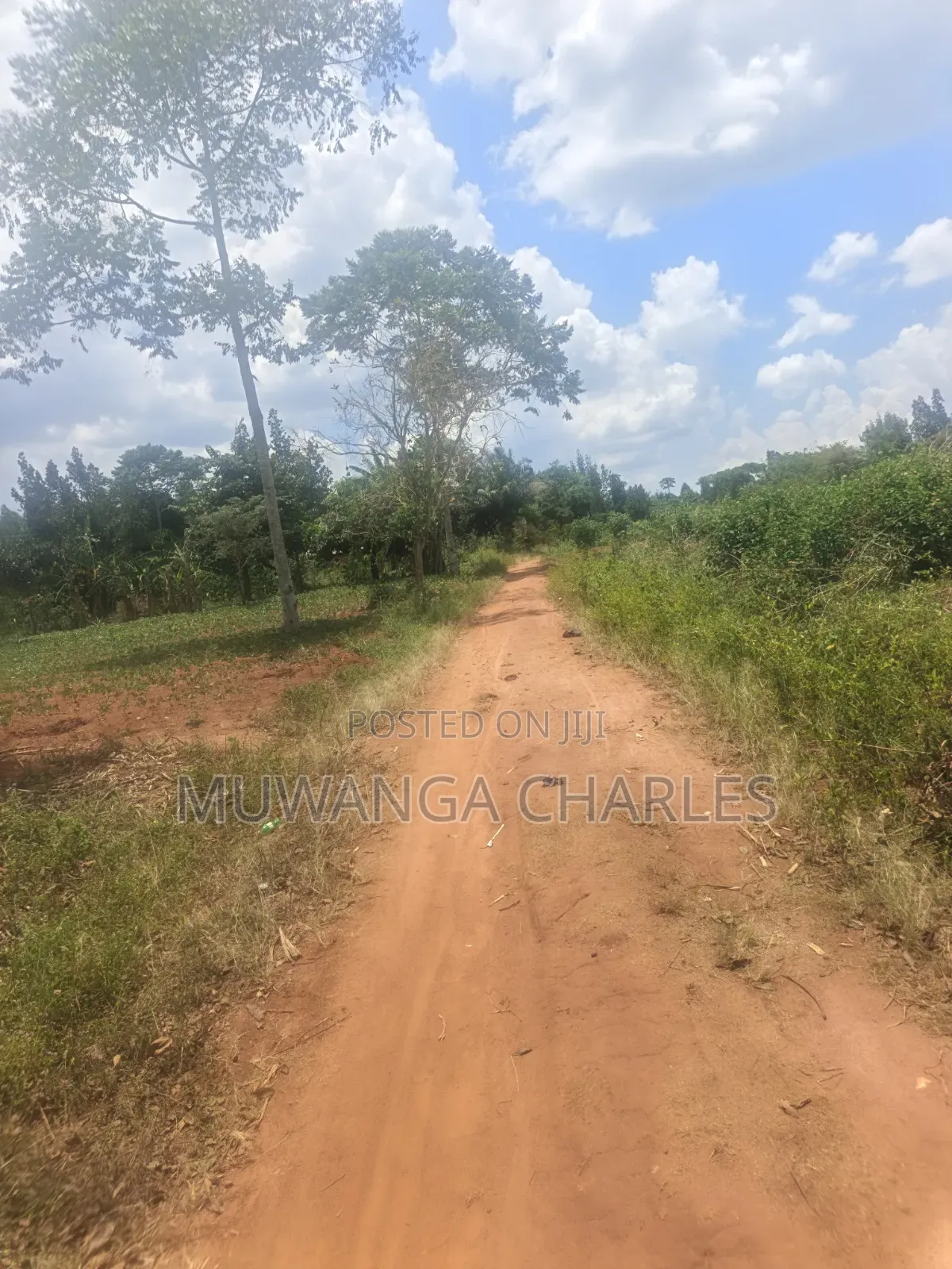 3.5acres on Sale at Zirobwe Kiyiiya in Zirobwe
