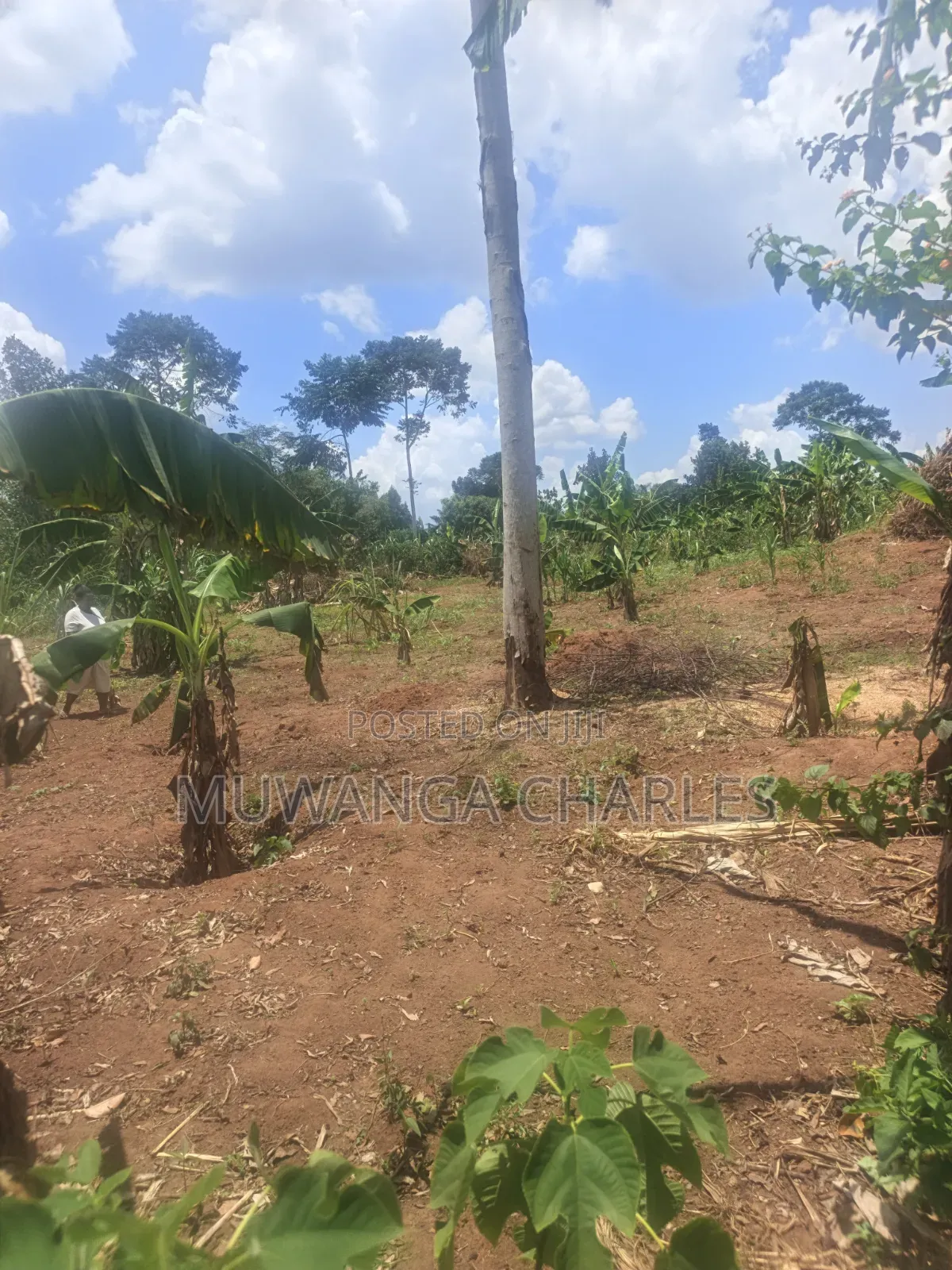 3.5acres on Sale at Zirobwe Kiyiiya in Zirobwe