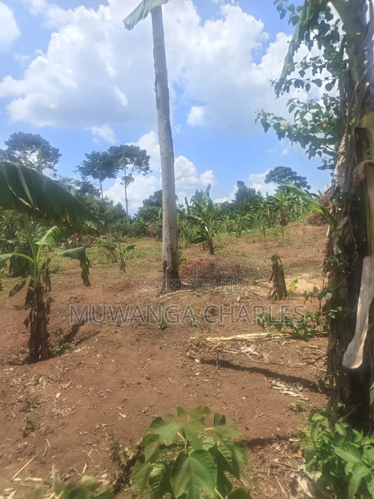 3.5acres on Sale at Zirobwe Kiyiiya in Zirobwe