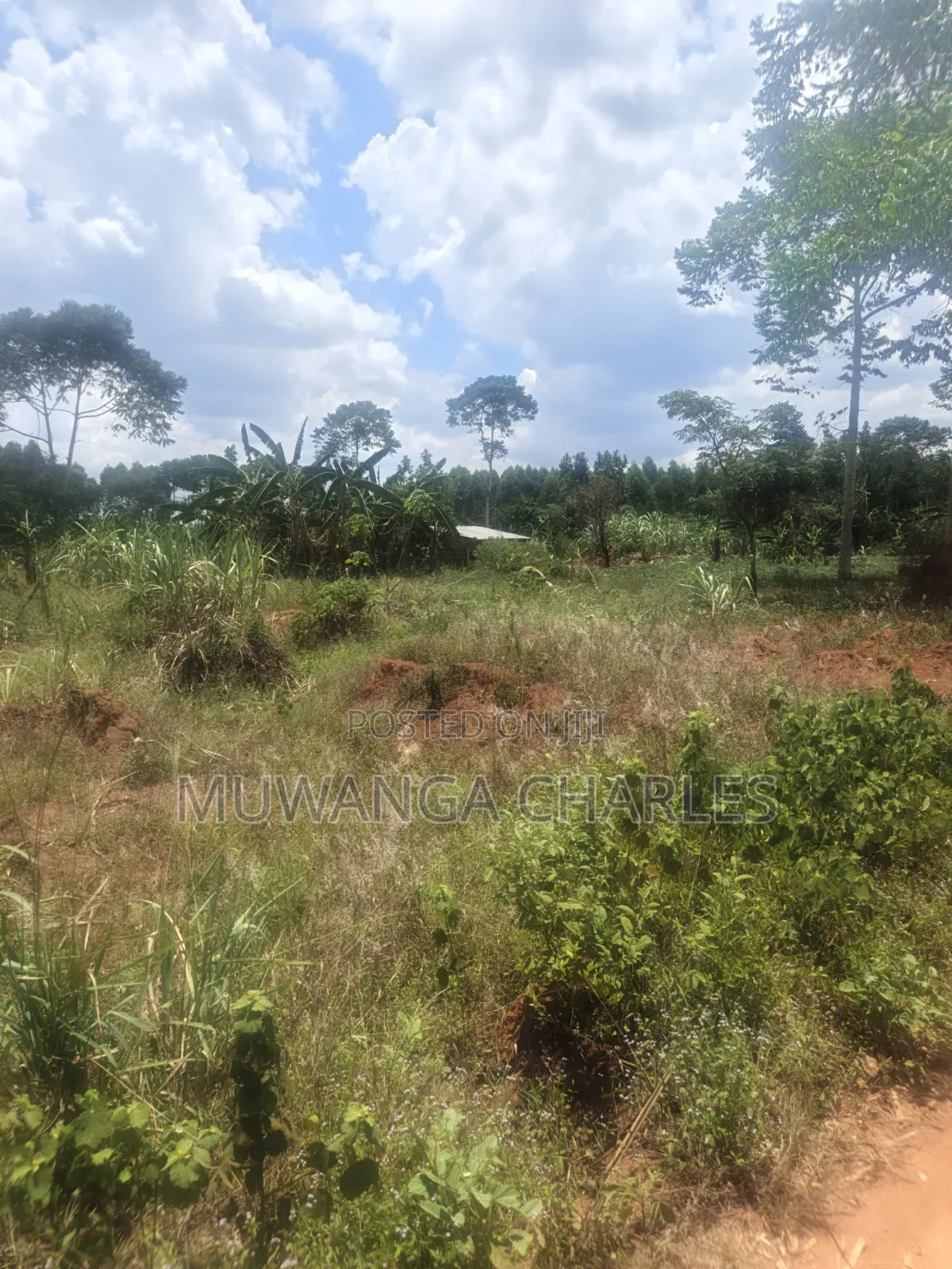 3.5acres on Sale at Zirobwe Kiyiiya in Zirobwe