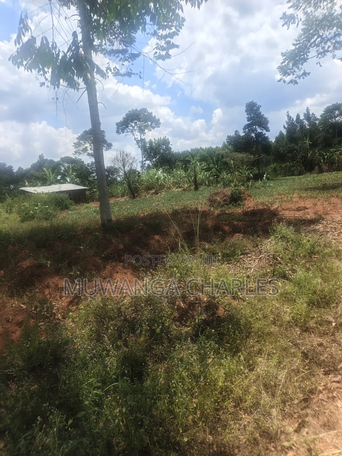 3.5acres on Sale at Zirobwe Kiyiiya in Zirobwe