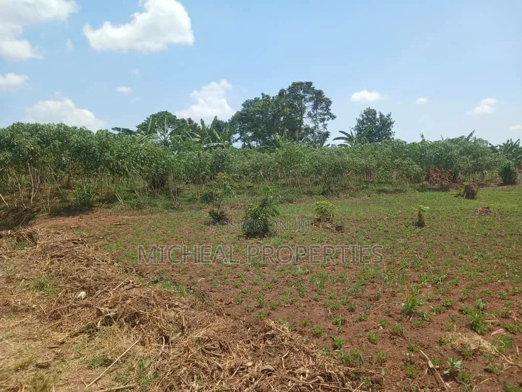 Plot for Sell Gayaza Kiwenda 25m in Kawempe