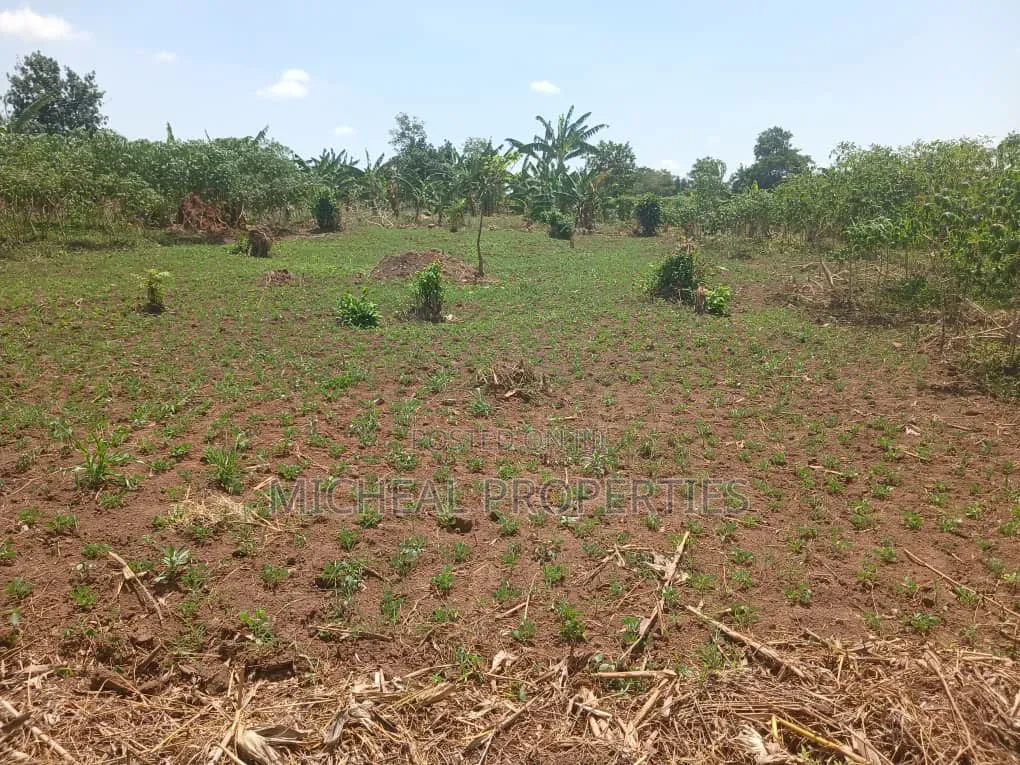 Plot for Sell Gayaza Kiwenda 25m in Kawempe
