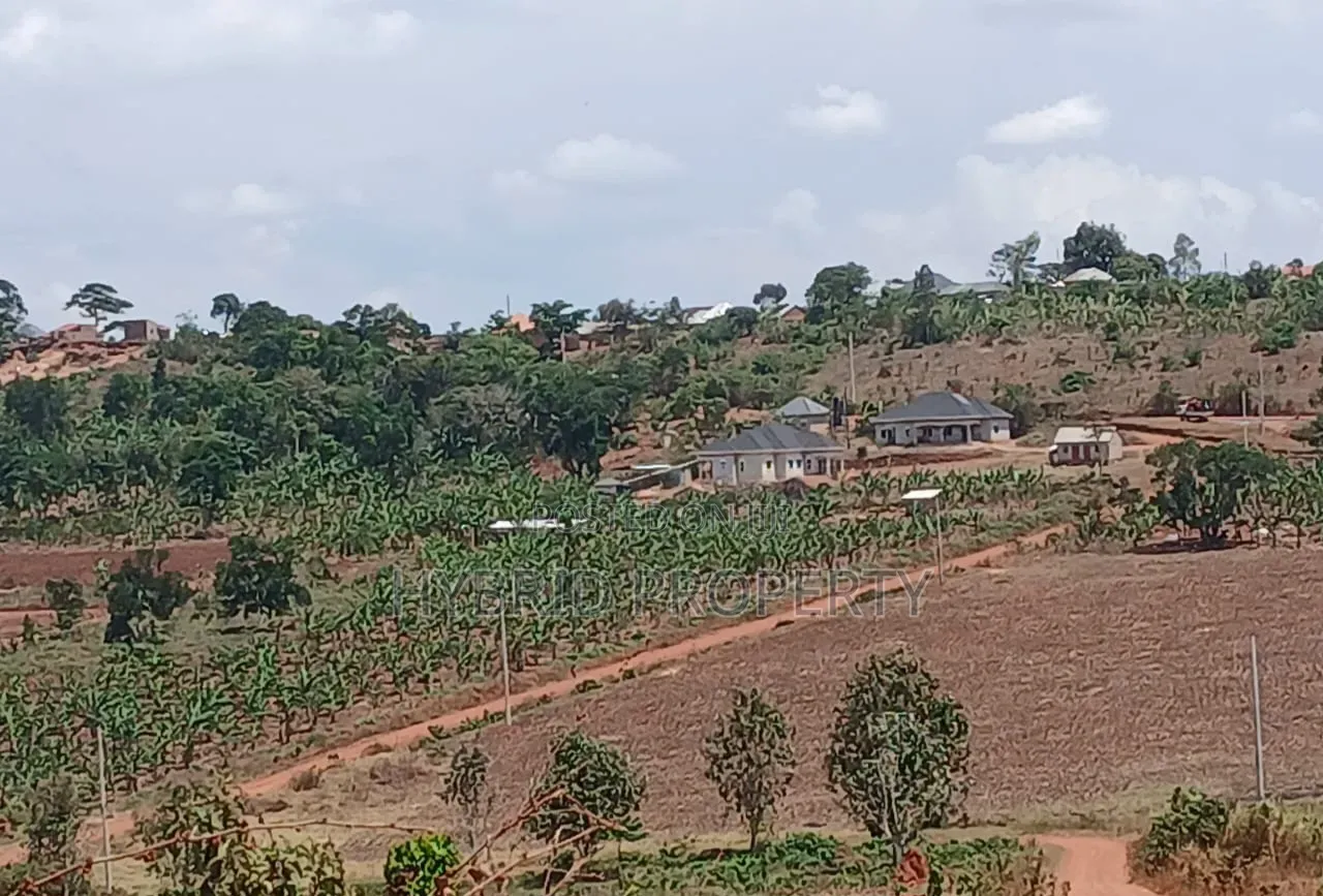 Prime Plots for Sale at Mpigi Kampiringisa~Muyira Town Land Estate X in Kamengo