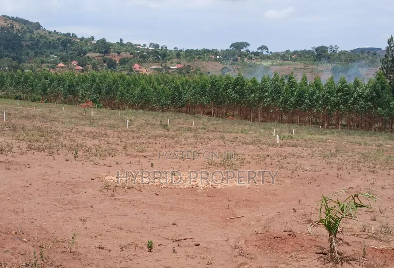 Prime Plots for Sale at Mpigi Kampiringisa~Muyira Town Land Estate X in Kamengo