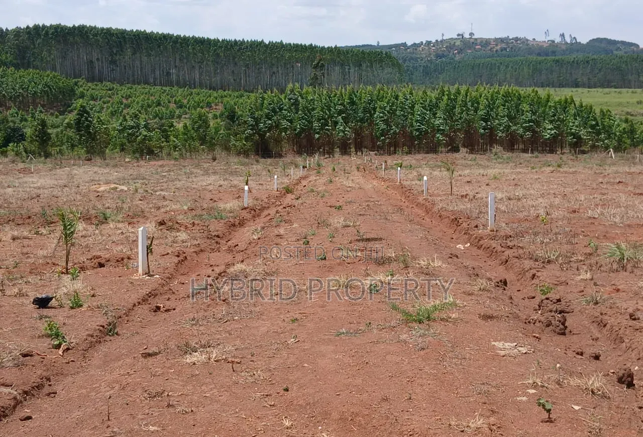 Prime Plots for Sale at Mpigi~Bubezi Divine Land Estate~Masaka Road X. in Mpigi / Mpigi