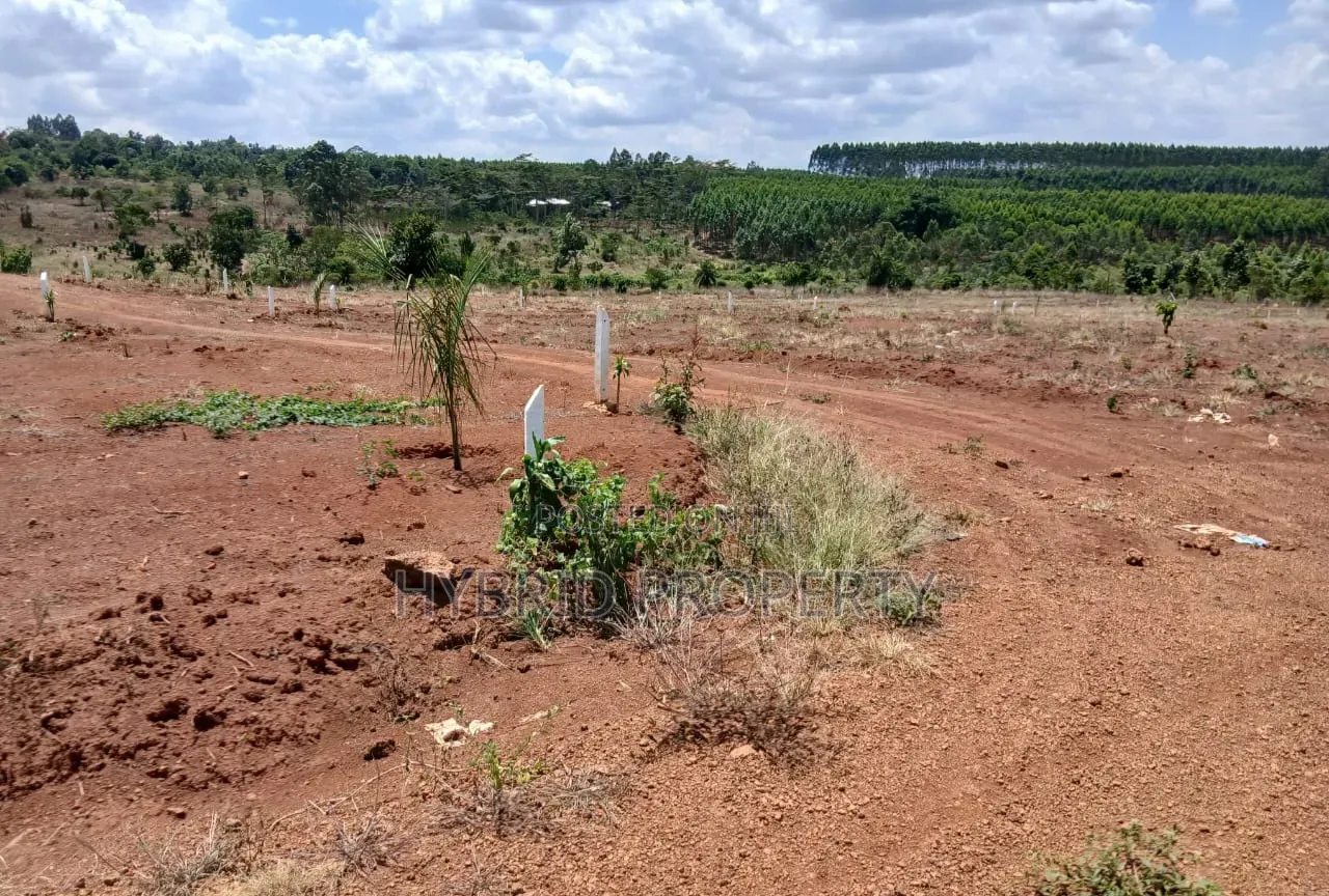 Prime Plots for Sale at Mpigi~Bubezi Divine Land Estate~Masaka Road X. in Mpigi / Mpigi