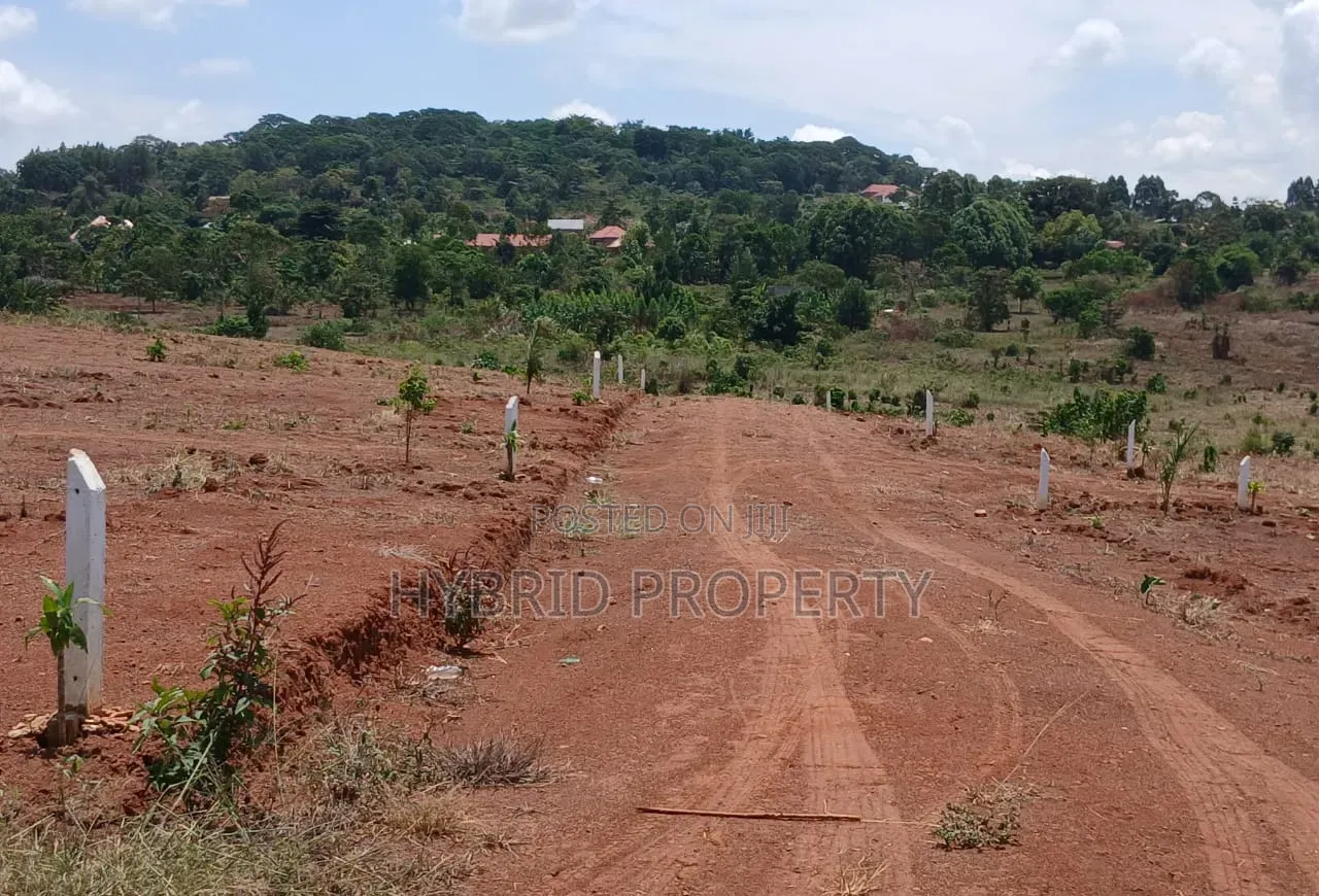 Prime Plots for Sale at Mpigi~Bubezi Divine Land Estate~Masaka Road X. in Mpigi / Mpigi