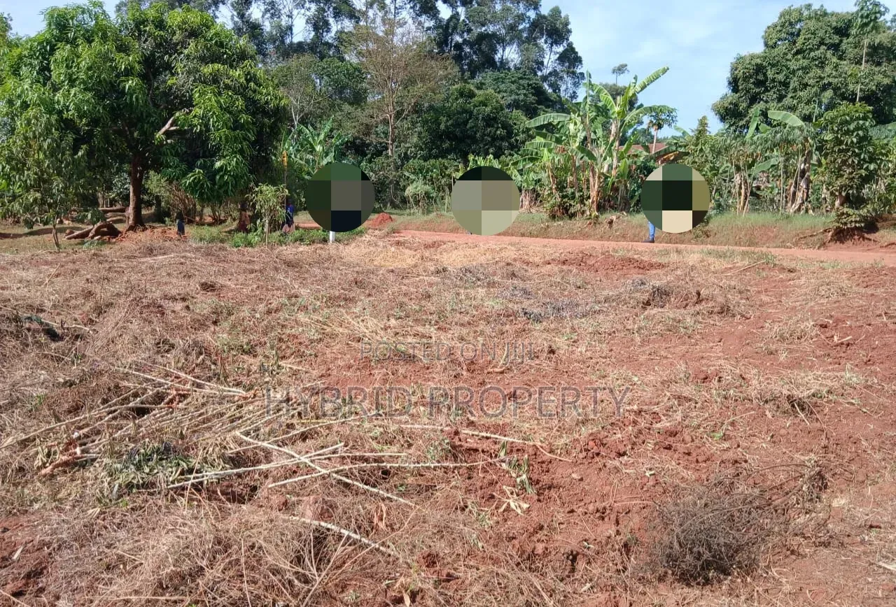 Prime Plots for Sale at Mpigi~Lungala Divine Land Estate~Masaka Road X in Mpigi / Mpigi