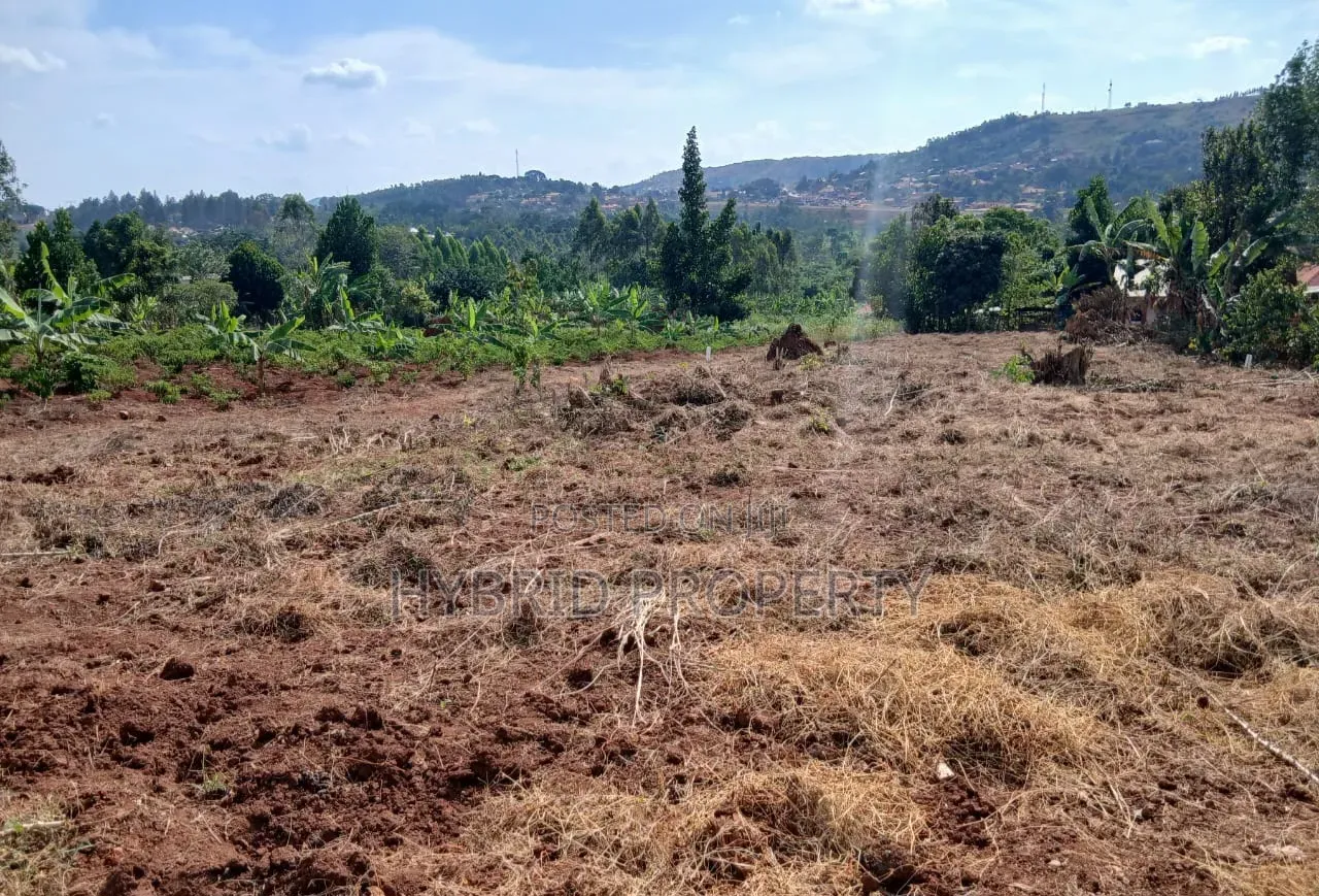 Prime Plots for Sale at Mpigi~Lungala Divine Land Estate~Masaka Road X in Mpigi / Mpigi