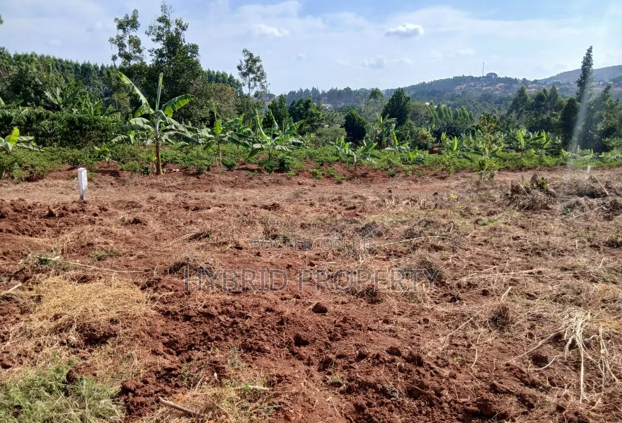 Prime Plots for Sale at Mpigi~Lungala Divine Land Estate~Masaka Road X in Mpigi / Mpigi