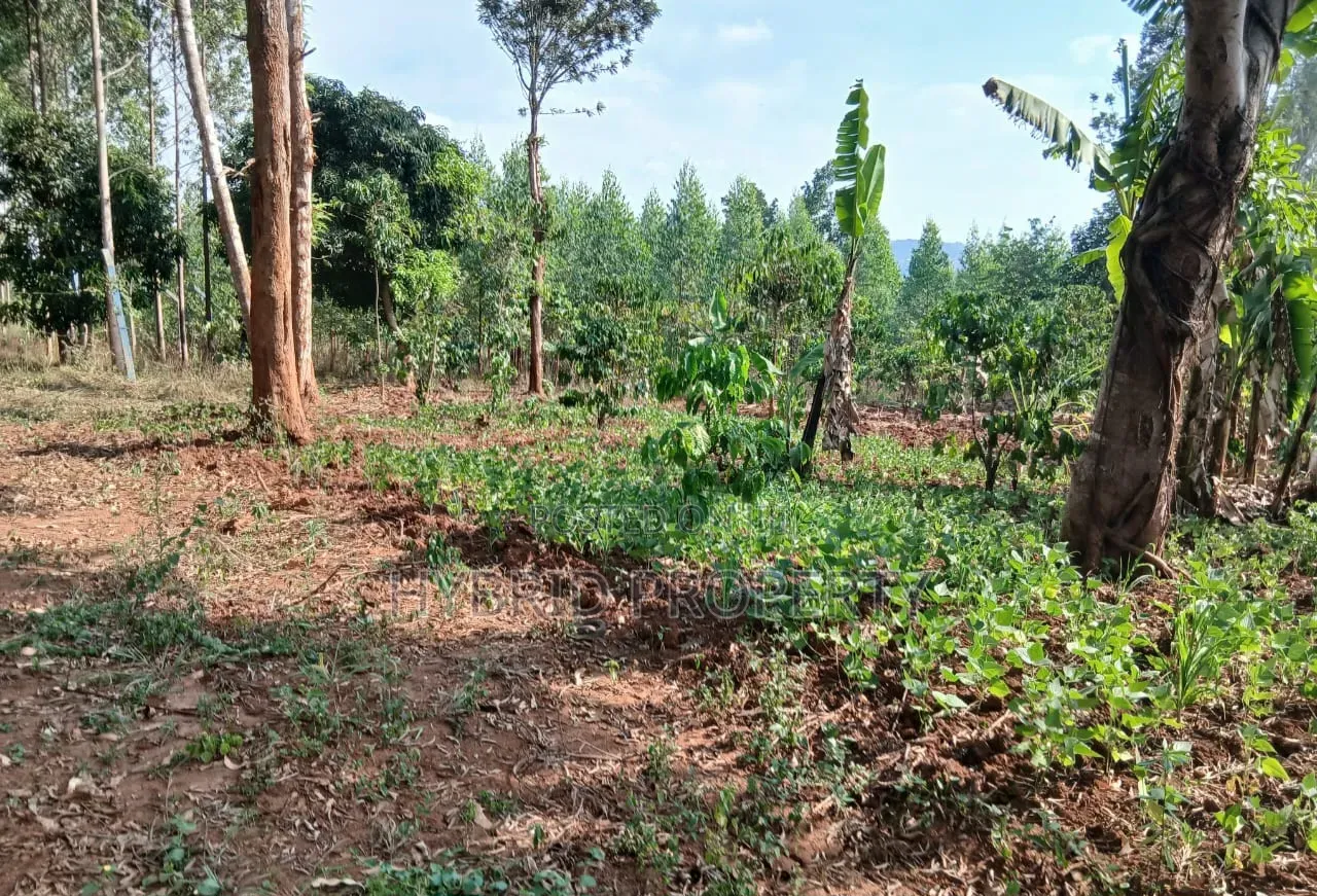 2Acres of Land for Sale at Katende~Kavule Nakabiso Along Masaka Road. in Kiringente
