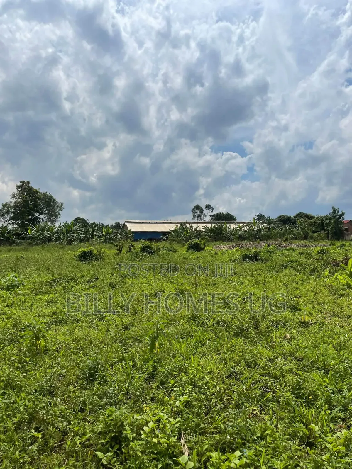 Plots for Sale Located in Kiwenda-Nazareth in Busukuma