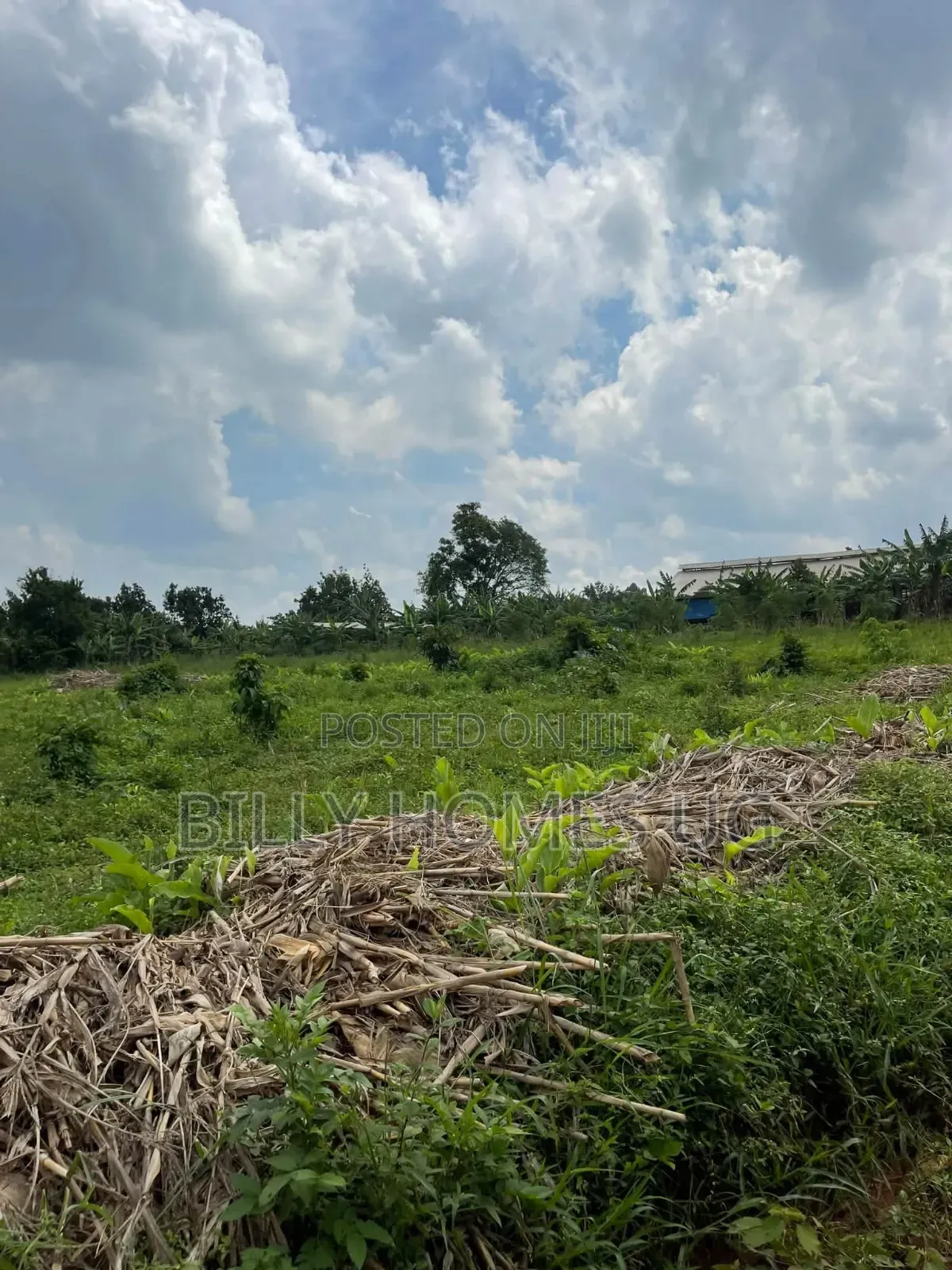 Plots for Sale Located in Kiwenda-Nazareth in Busukuma