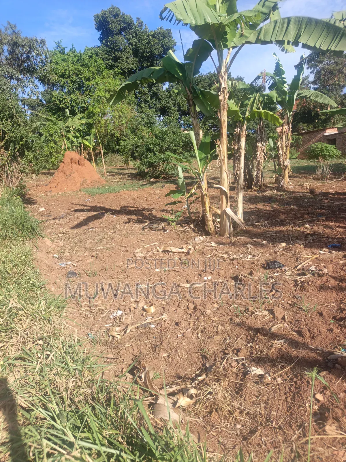 32decimals Onon Sale at Kisaasi Ssebagala in Central Division