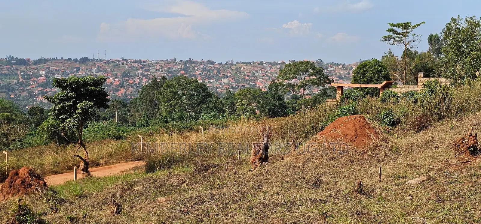  32 Decimals of Land for Sale – Wamala via Akright Estate  in Division A