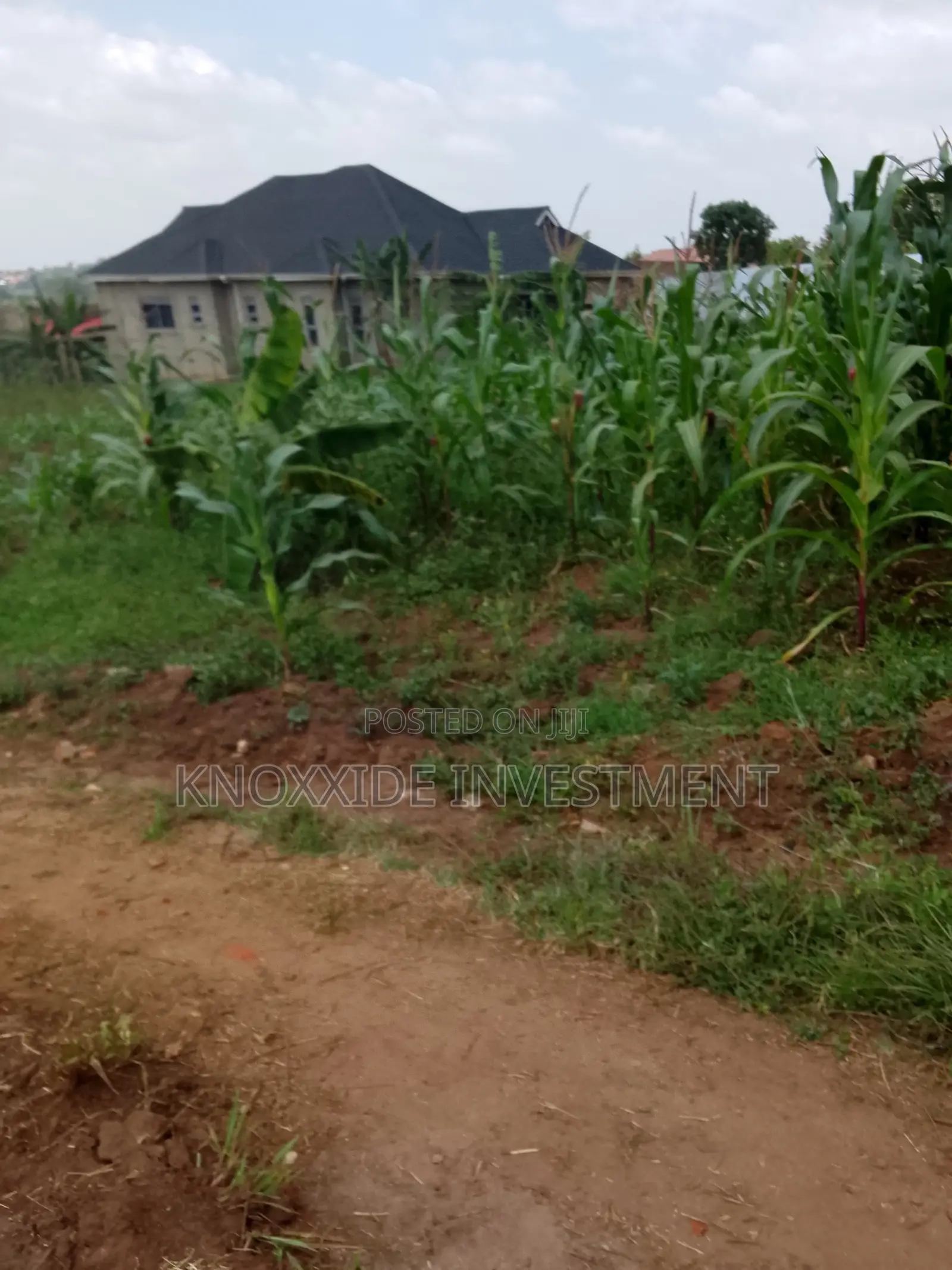 Plot for Sale 25x50ftft Ugx Lukwaga Town Sentema Road in Central Division