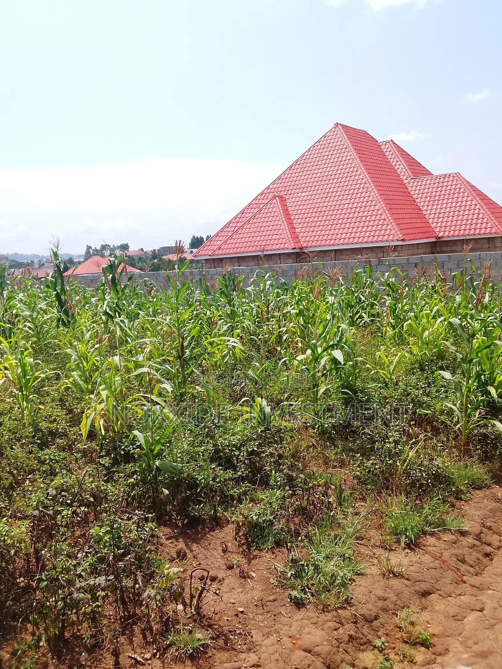 Plot for Sale 100x50ft at 7.5m Ugx Kakiri Masurita in Central Division