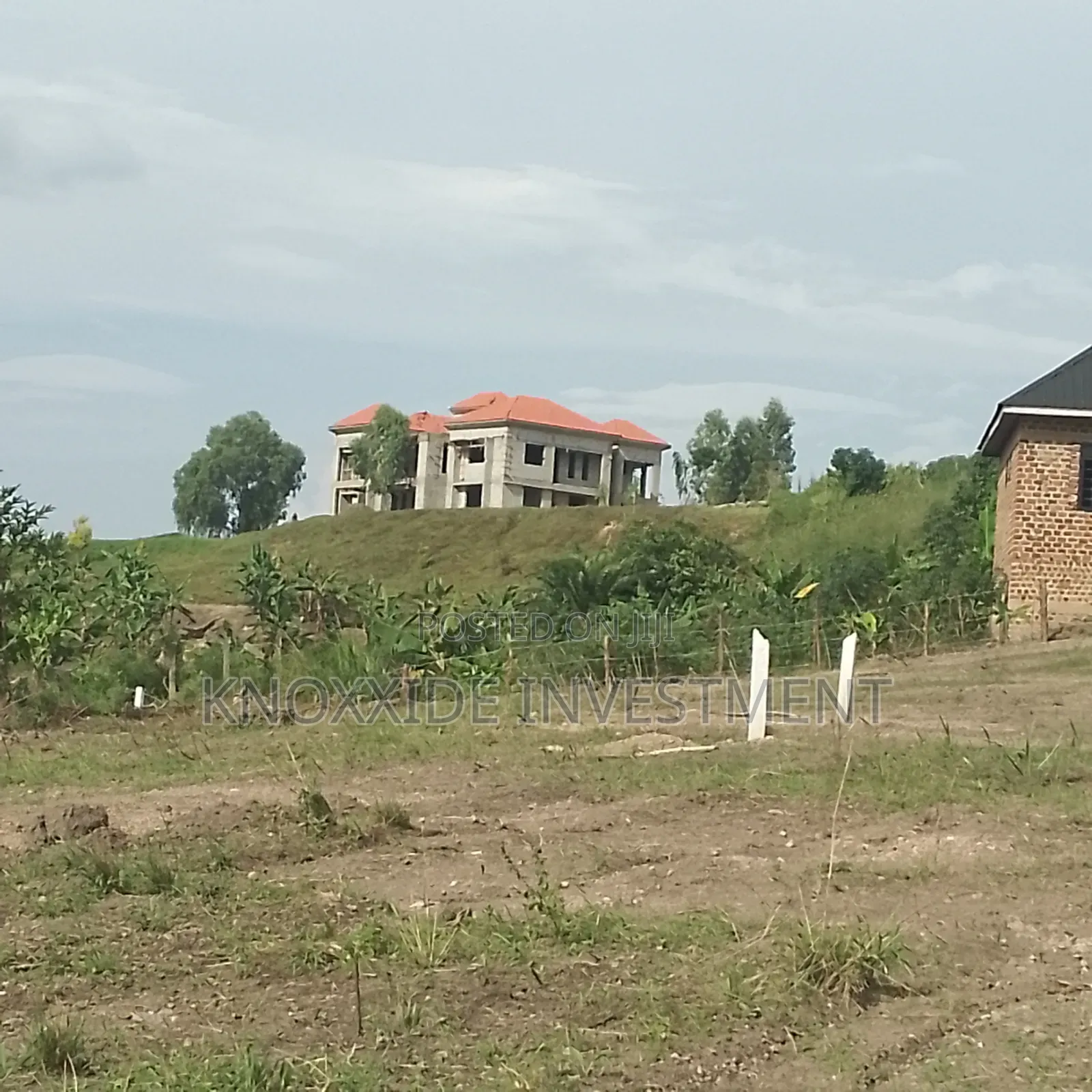 Land on Sell 100x50ft at 35m Ready Tittle Bukalango Kakiri in Central Division