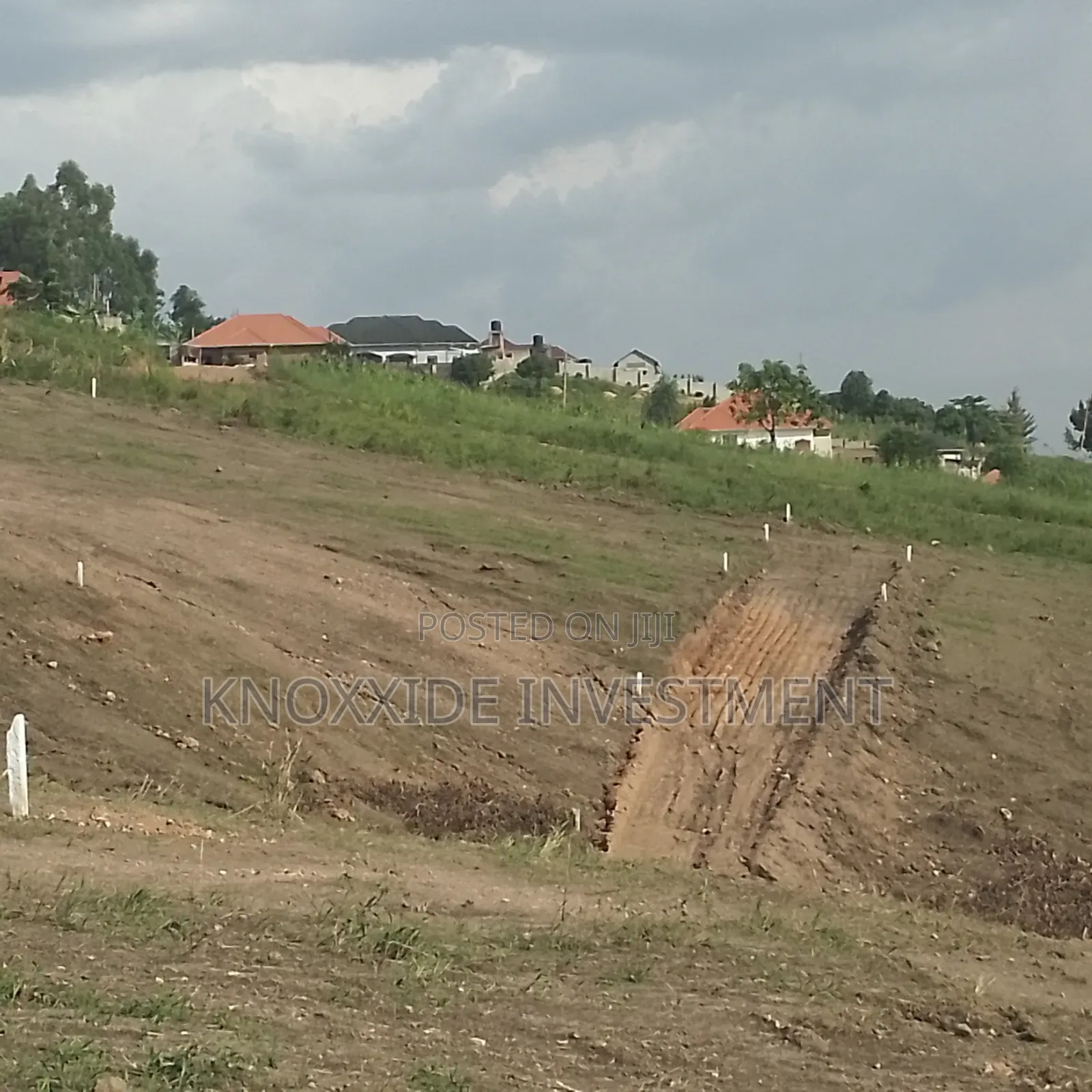 Land on Sell 100x50ft at 35m Ready Tittle Bukalango Kakiri in Central Division