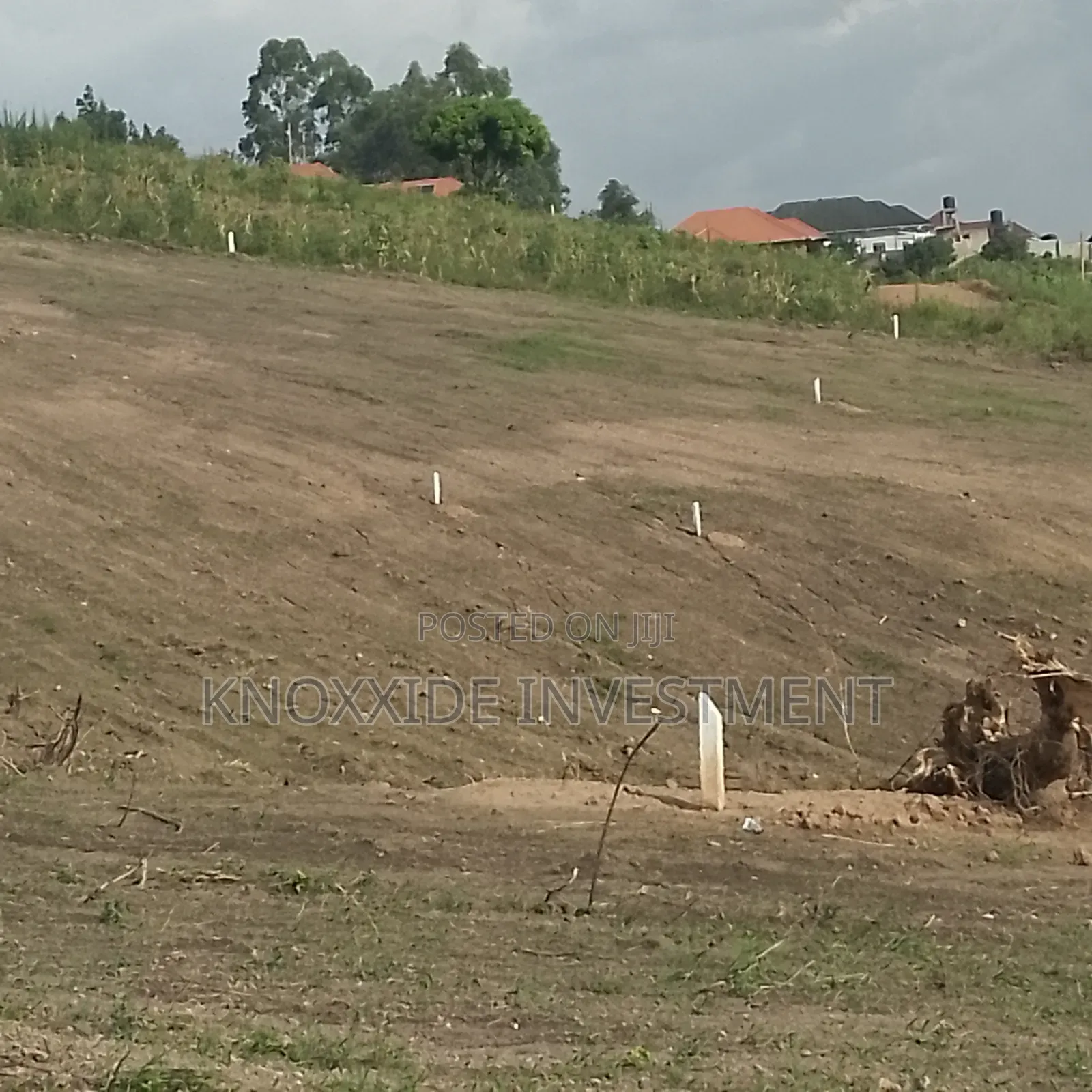 Land on Sell 100x50ft at 35m Ready Tittle Bukalango Kakiri in Central Division