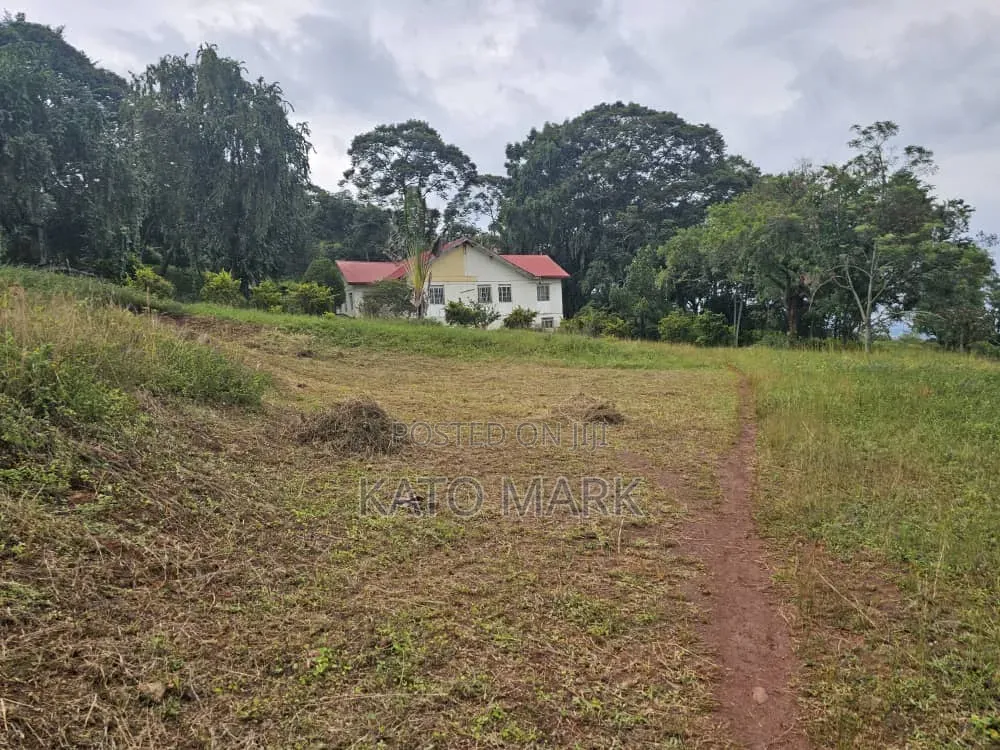 31 Acres for Sale Located at Mukono Katente in Mukono TC