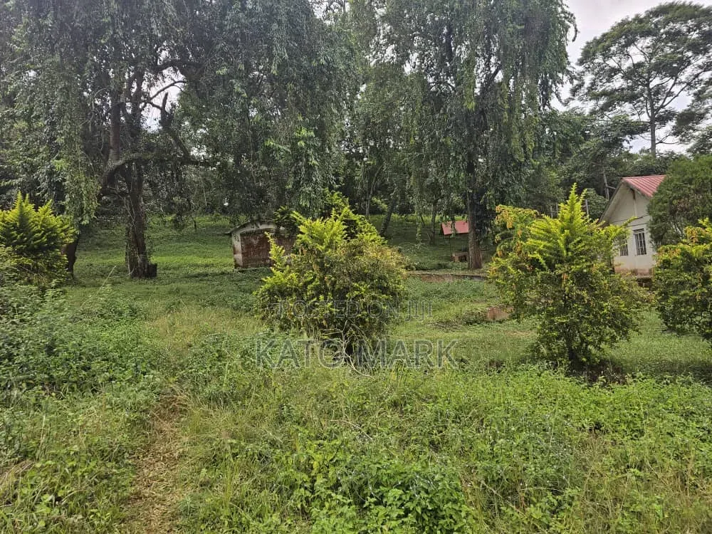 31 Acres for Sale Located at Mukono Katente in Mukono TC