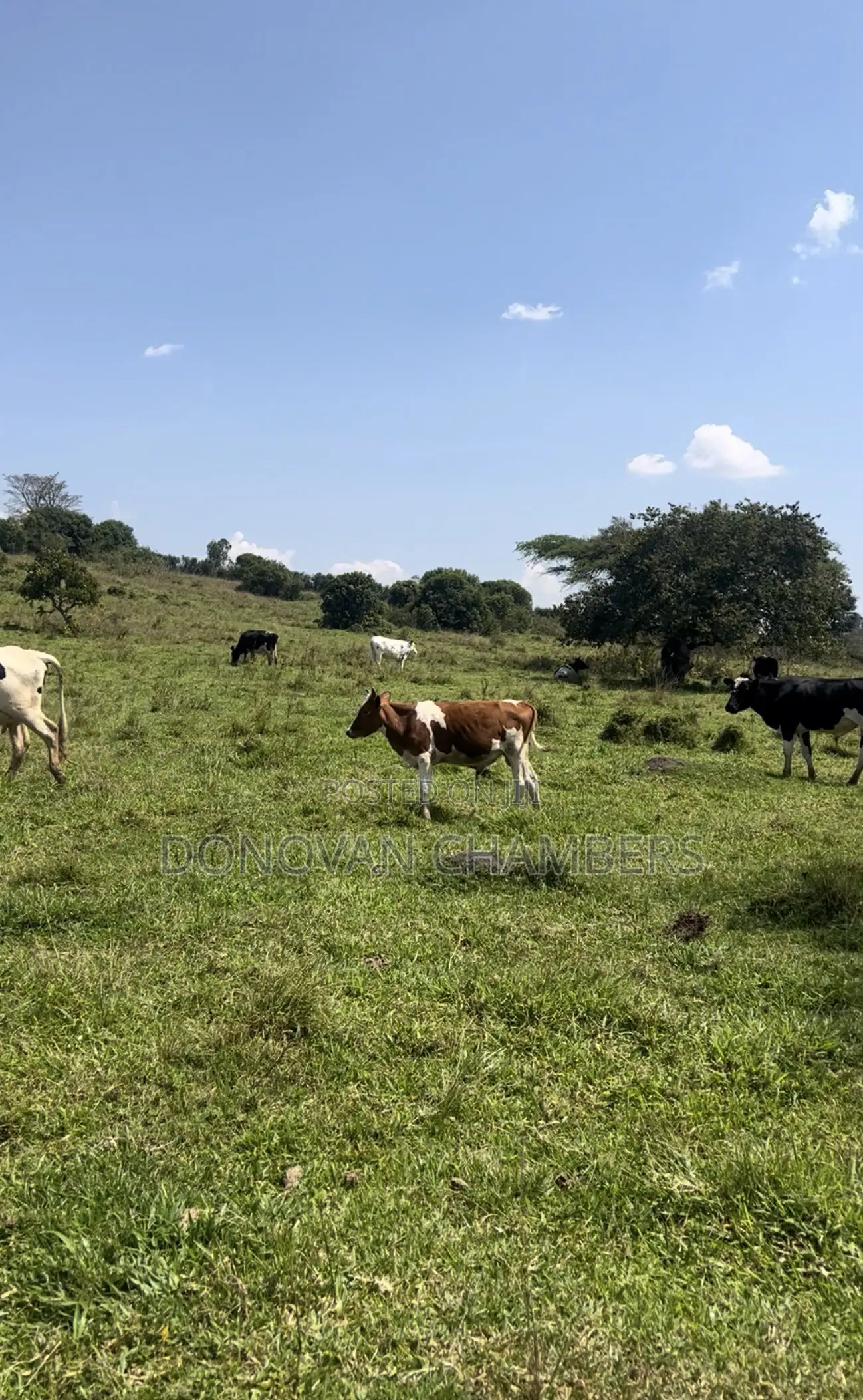 116 Acres of Freehold Land for Sale Off the Mbarara-Ibanda Rd in Mbarara