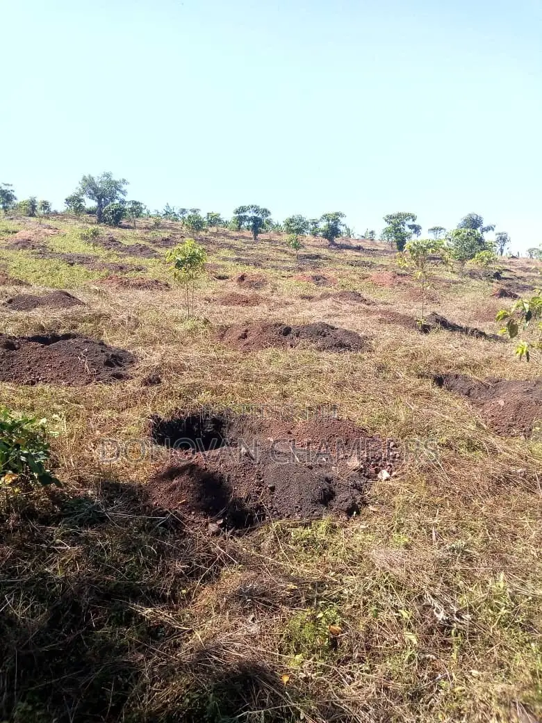 116 Acres of Freehold Land for Sale Off the Mbarara-Ibanda Rd in Mbarara
