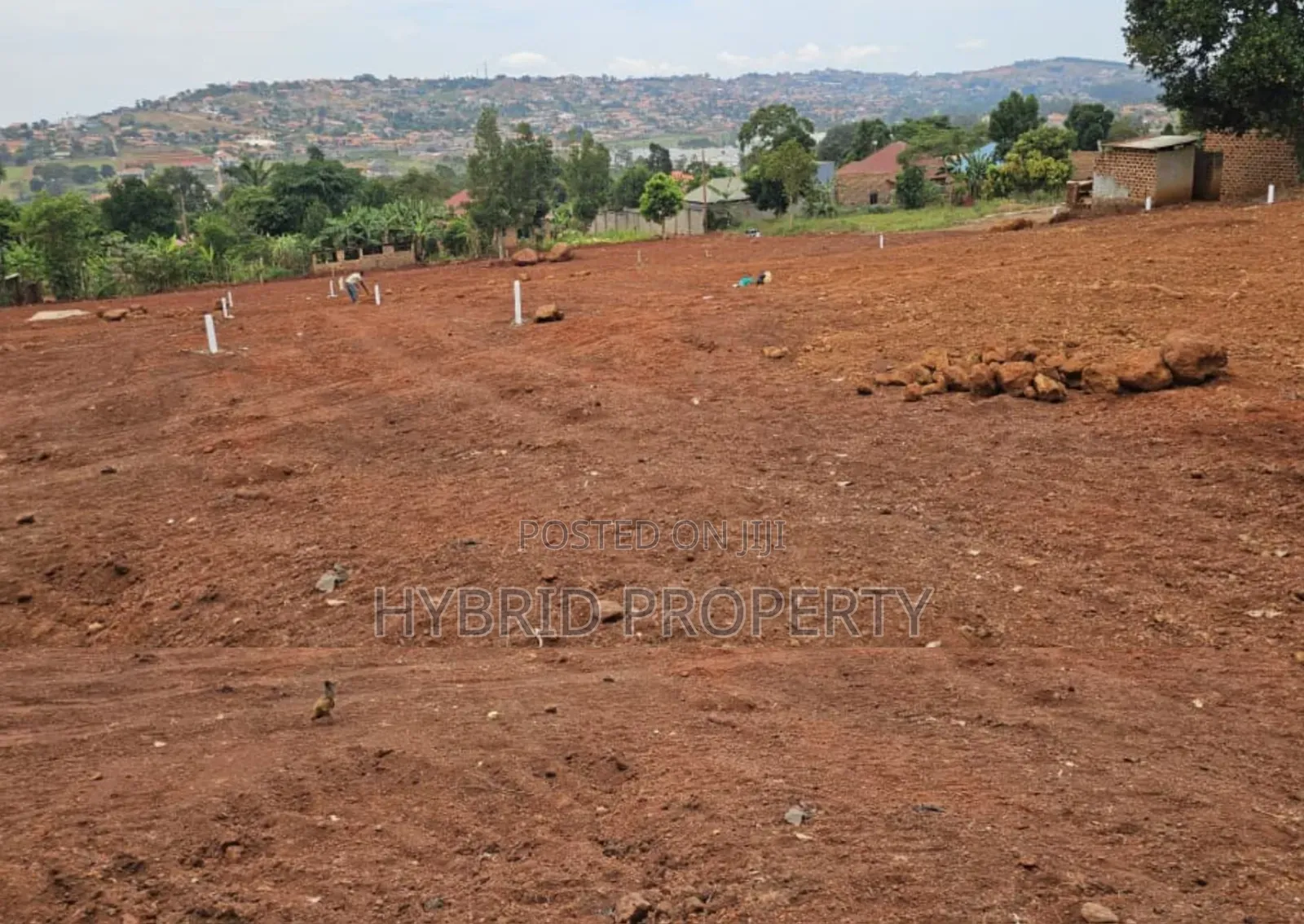 Prime Plots for Sale at Ssisa Hill View Land Estate Along Entebbe Road in Ssisa