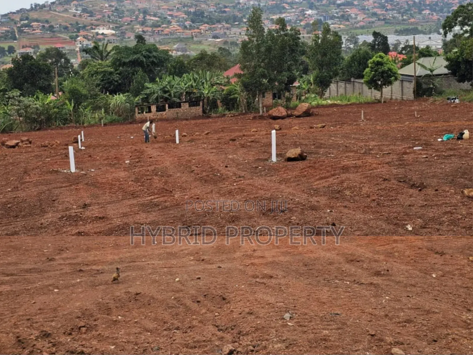 Prime Plots for Sale at Ssisa Hill View Land Estate Along Entebbe Road in Ssisa