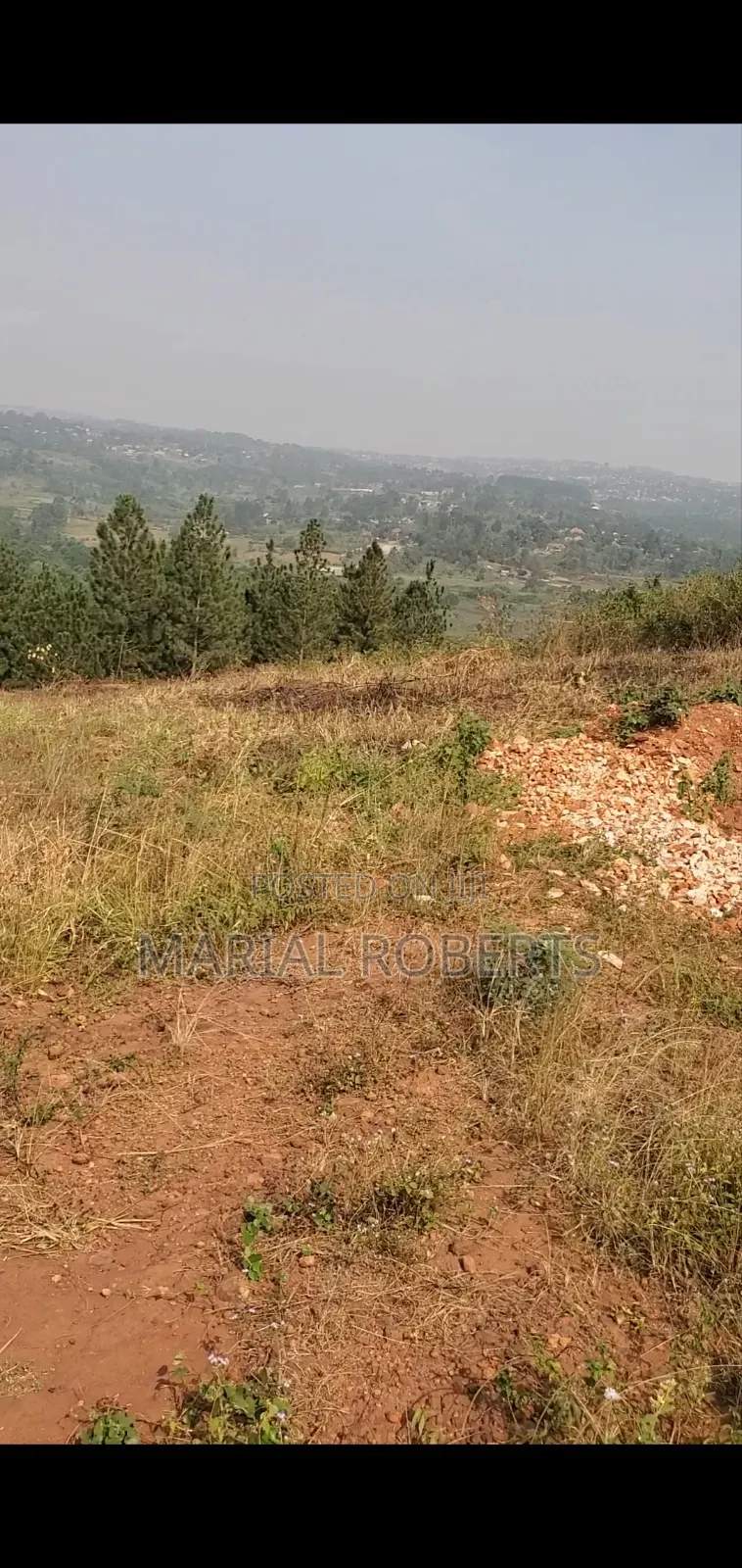 Titled Plot for Sale on the Ugachick Hill in Kira