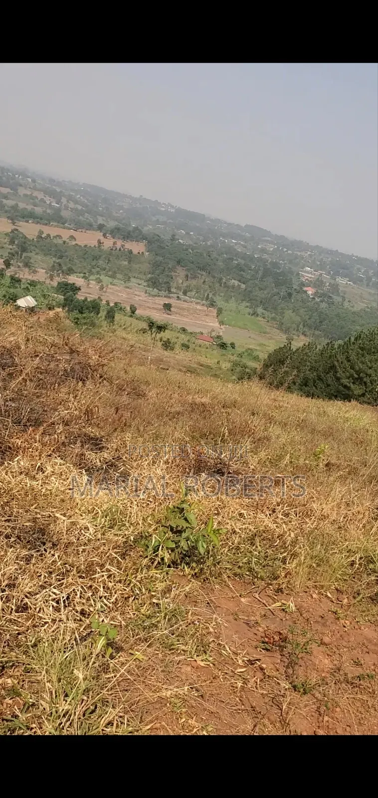 Titled Plot for Sale on the Ugachick Hill in Kira