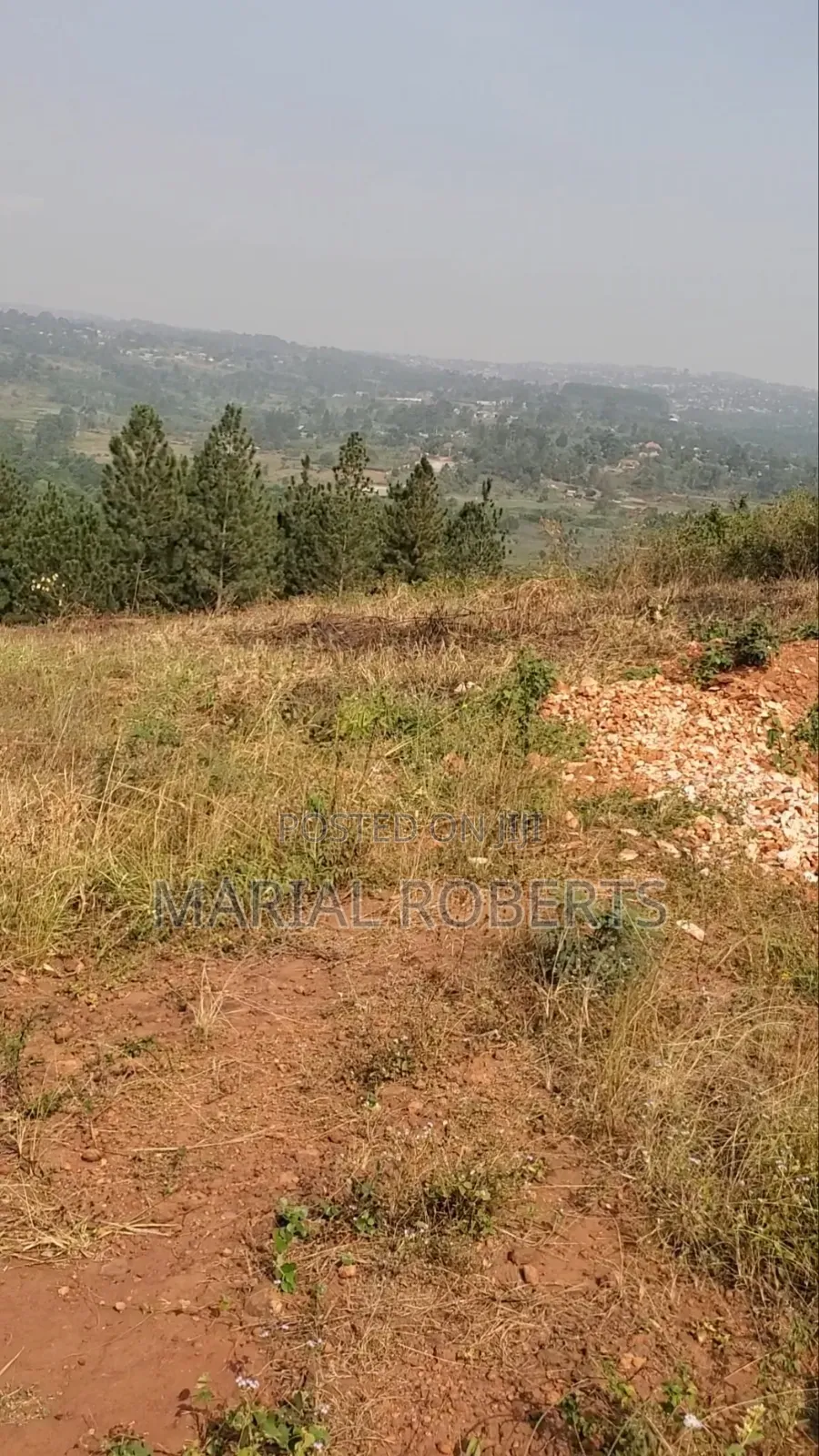 Titled Plot for Sale on the Ugachick Hill in Kira