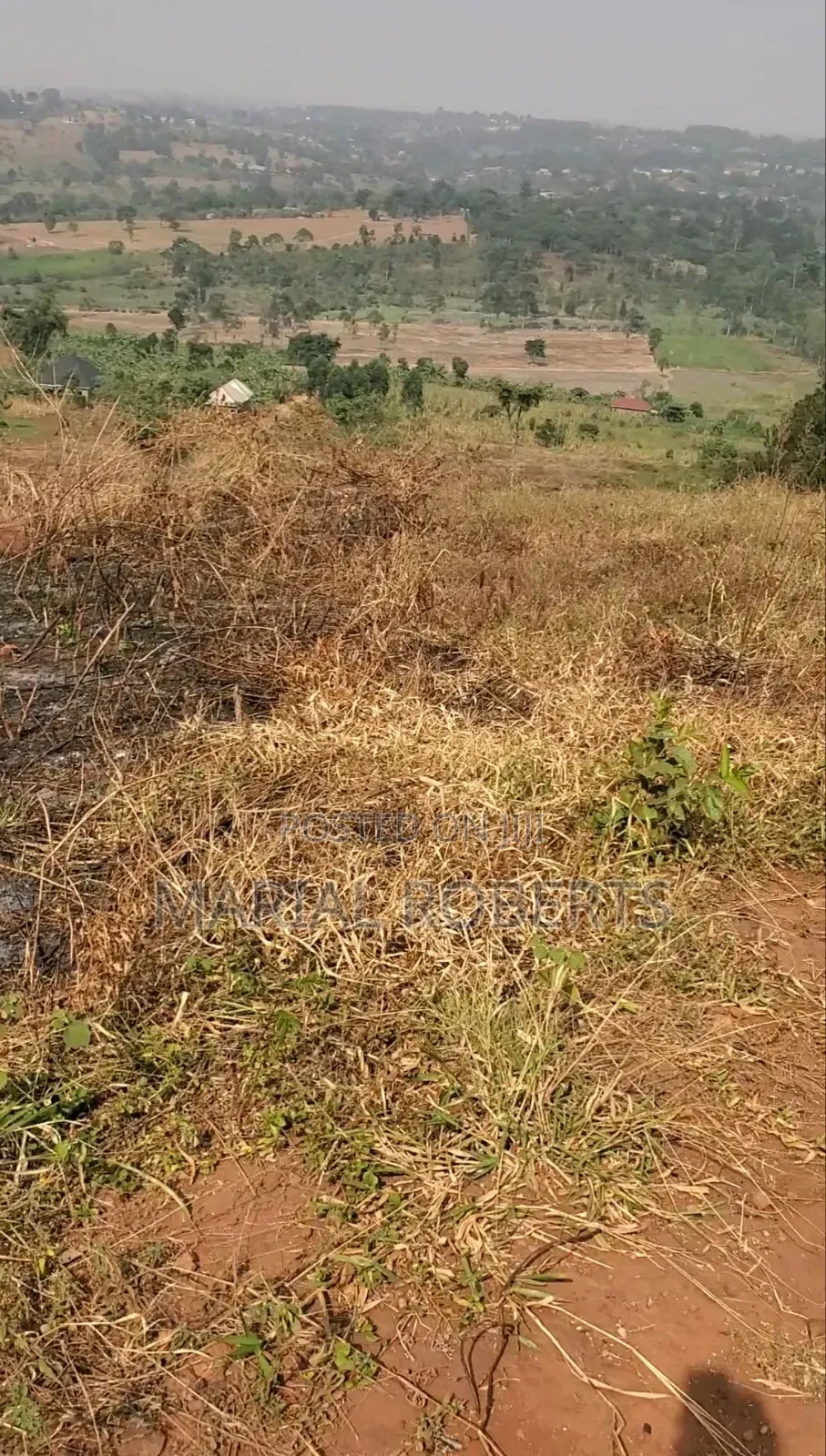 Titled Plot for Sale on the Ugachick Hill in Kira