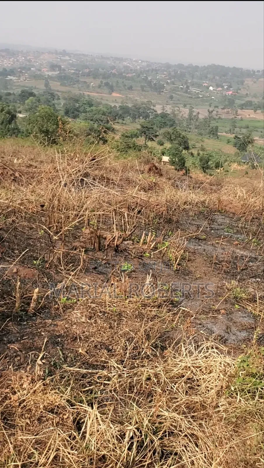Titled Plot for Sale on the Ugachick Hill in Kira