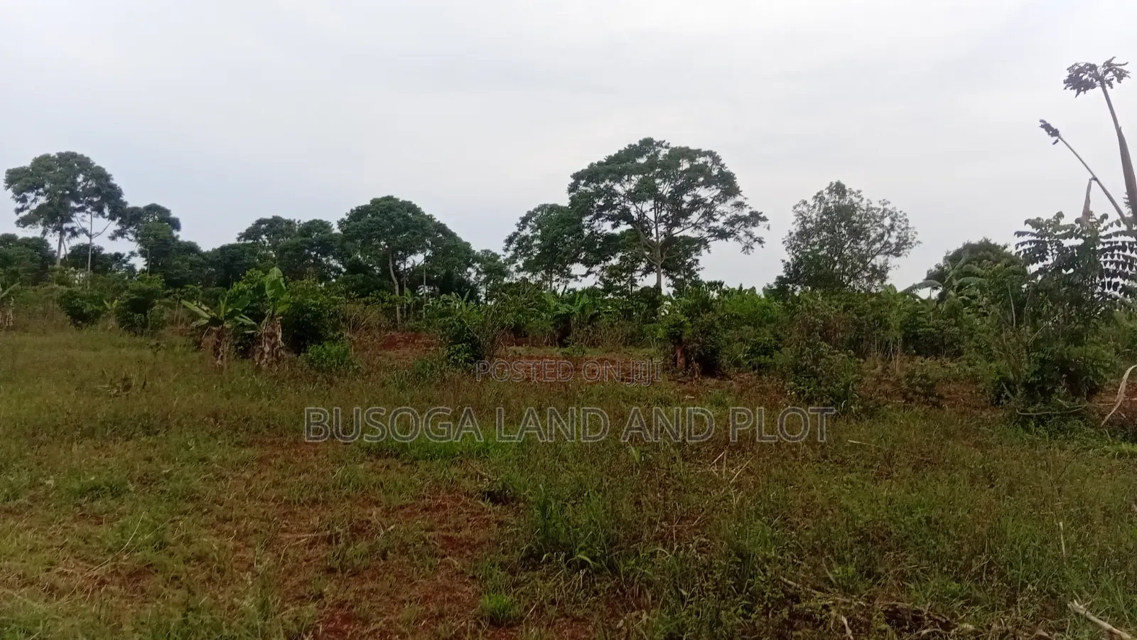 2 Acres of Prime Land, Wesunire, Makanga, Buyende Priced UGX  in Kamuli