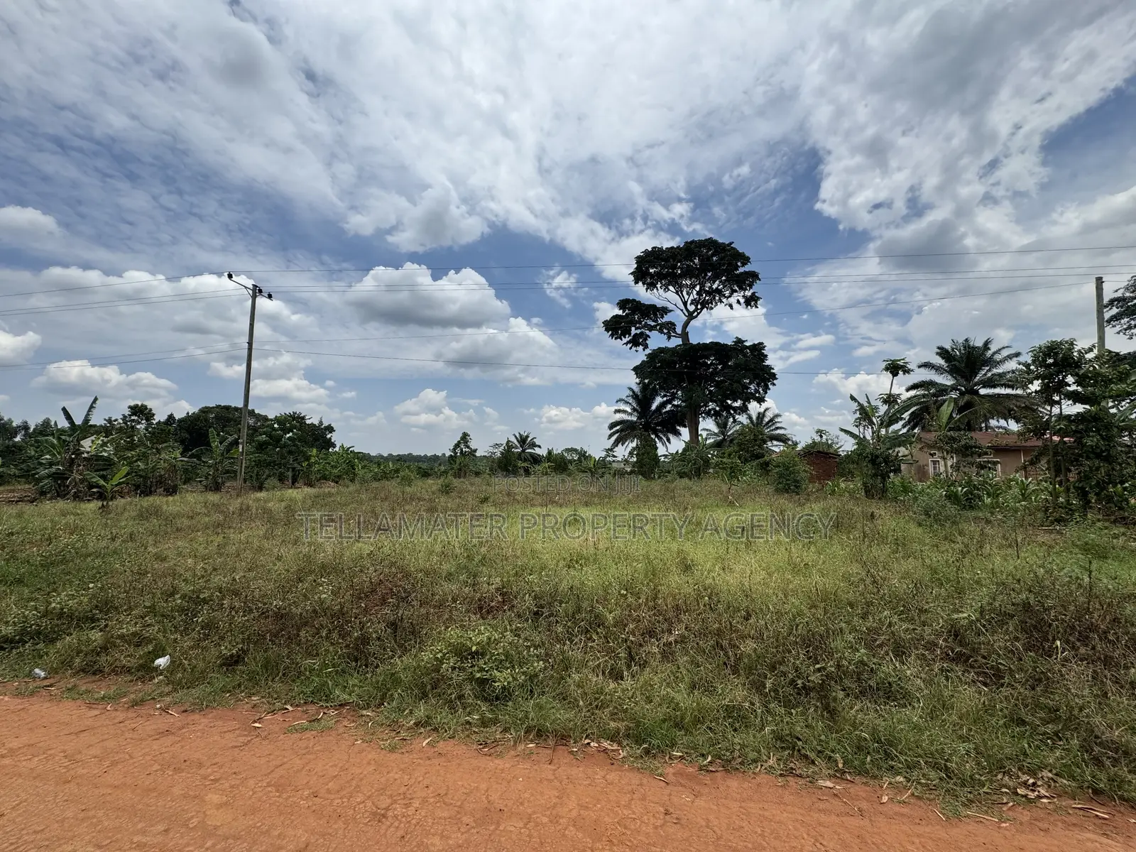 Nakifuma-Magogo Kigagga Estate 50by50ft and 50by100ft Plots Ndagaano in Kyampisi
