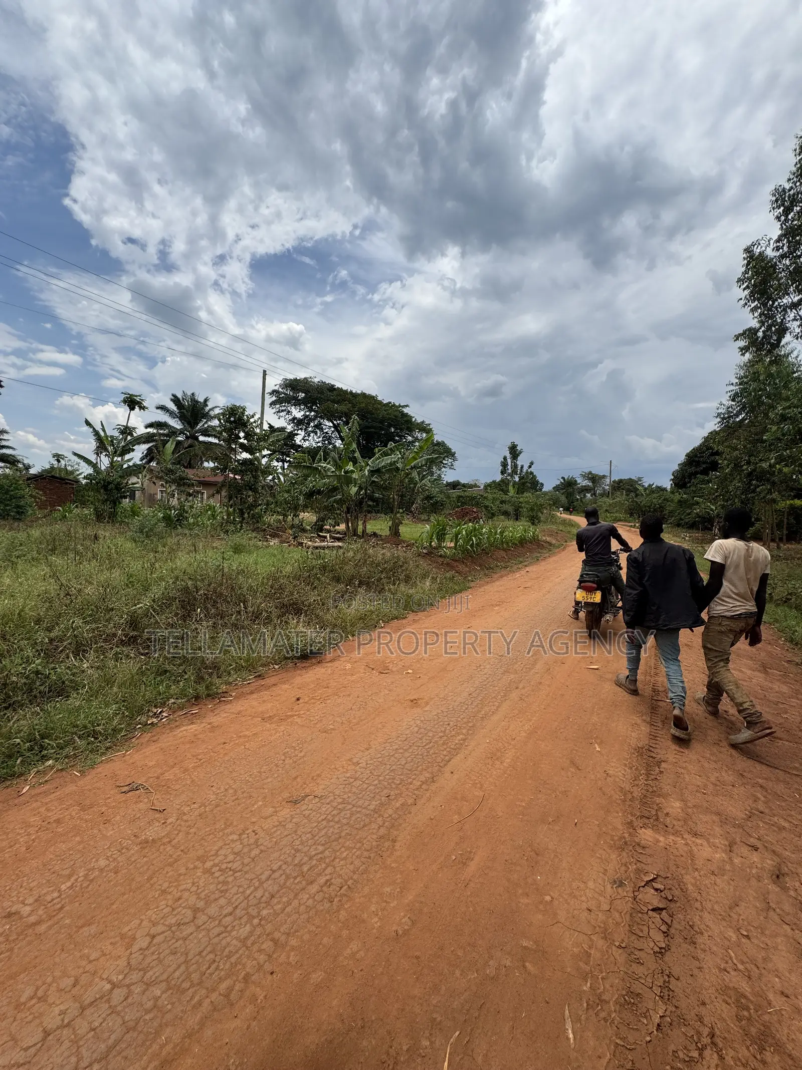 Nakifuma-Magogo Kigagga Estate 50by50ft and 50by100ft Plots Ndagaano in Kyampisi