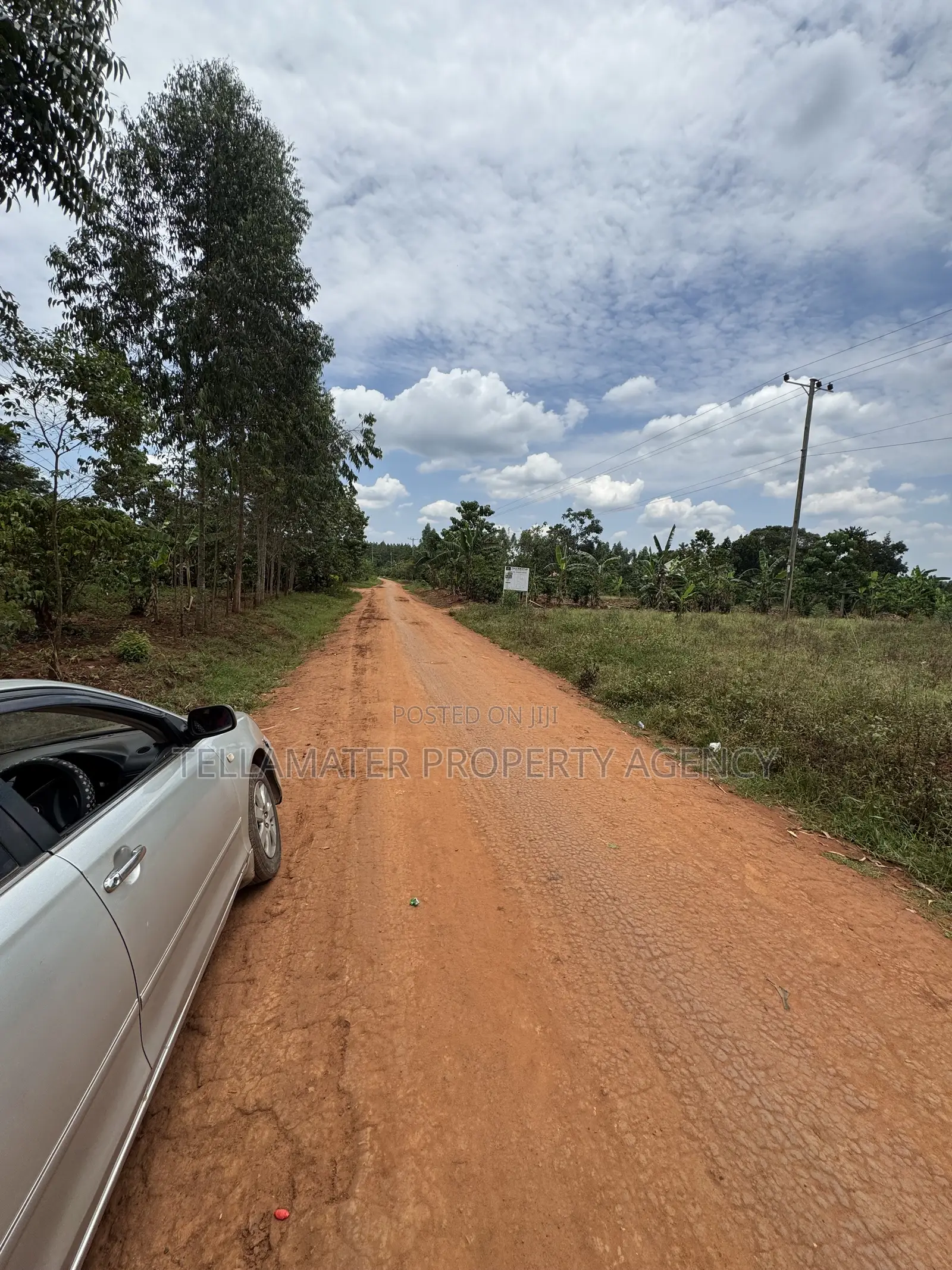 Nakifuma-Magogo Kigagga Estate 50by50ft and 50by100ft Plots Ndagaano in Kyampisi
