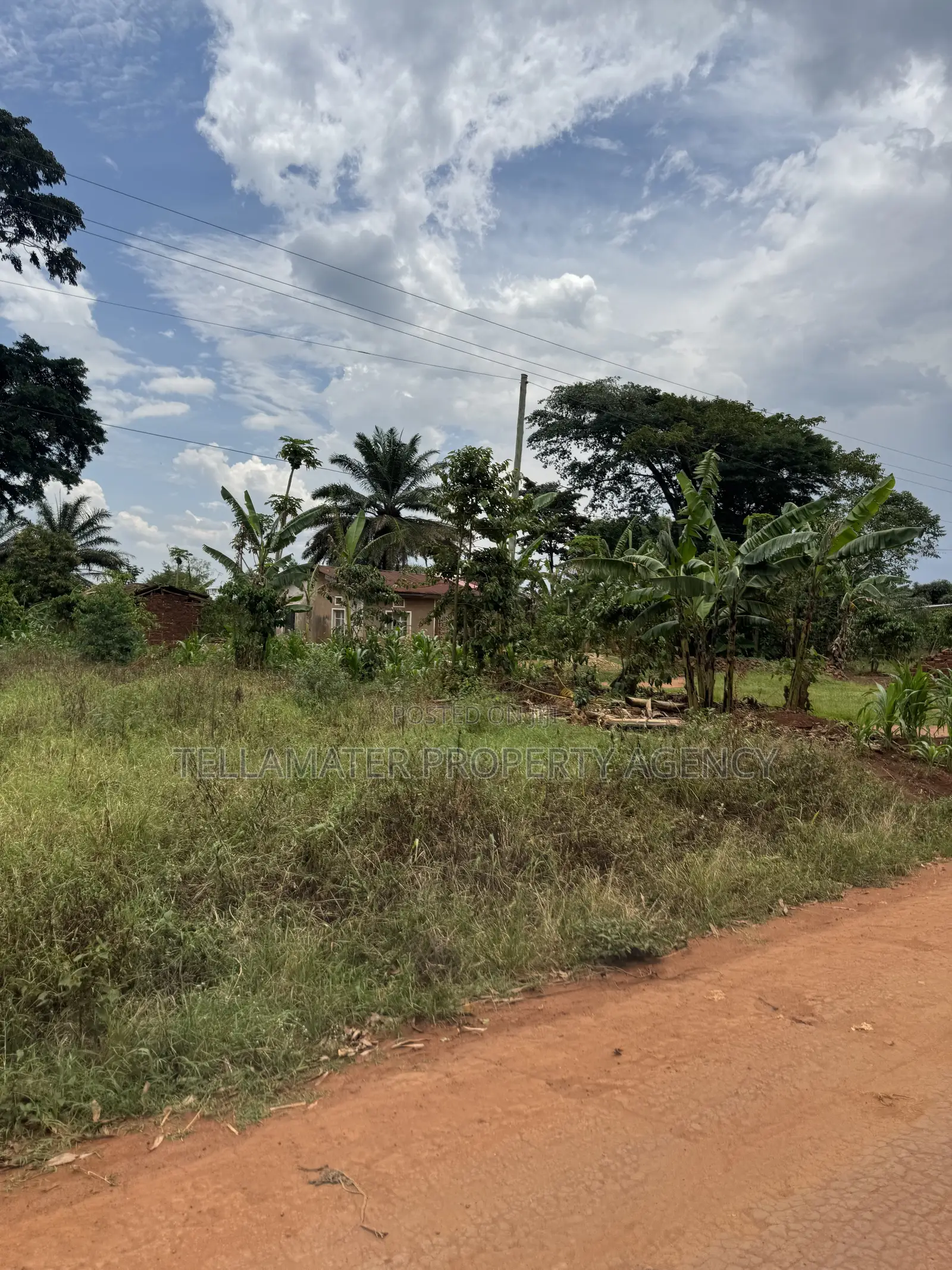 Nakifuma-Magogo Kigagga Estate 50by50ft and 50by100ft Plots Ndagaano in Kyampisi