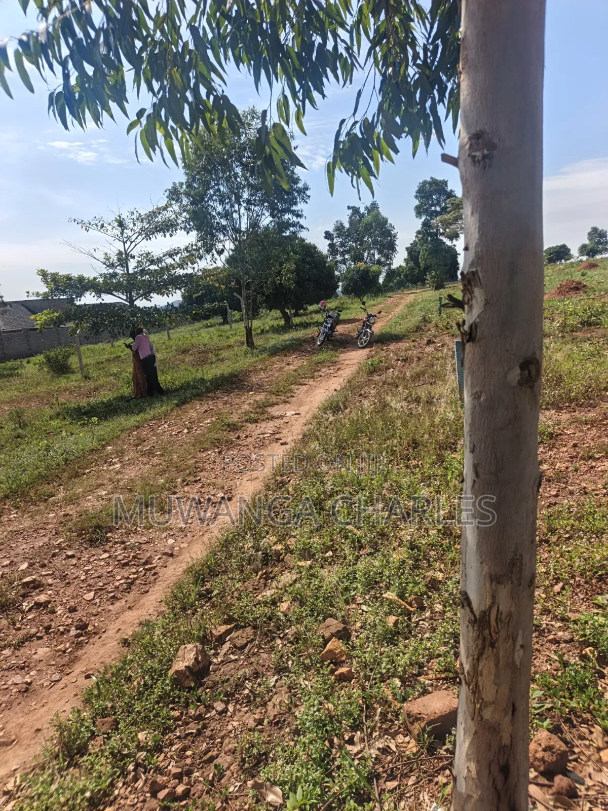 Plots on Sale at Kiwenda Luwunga in Division A