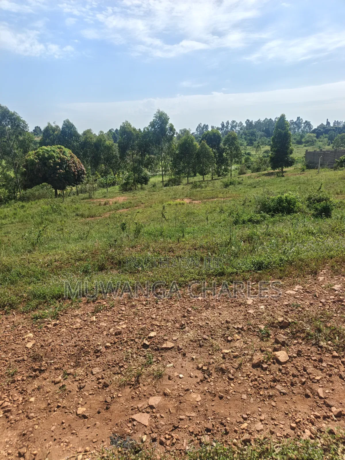 Plots on Sale at Kiwenda Luwunga in Division A