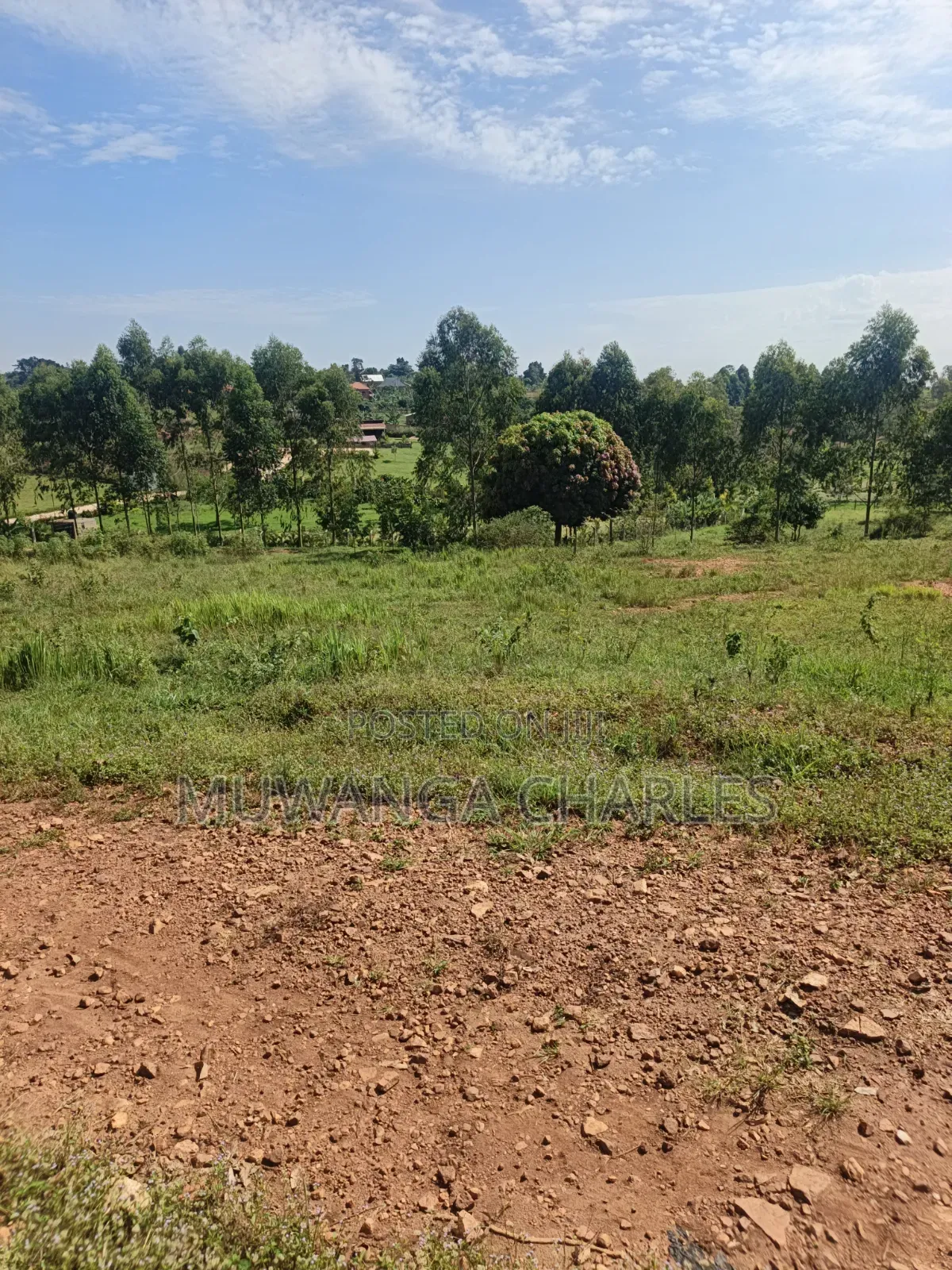 Plots on Sale at Kiwenda Luwunga in Division A