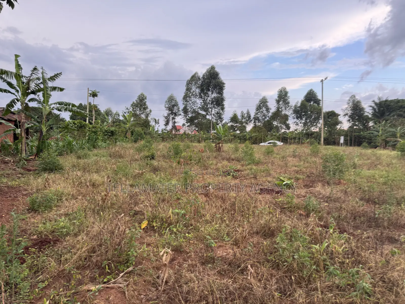 Nakifuma-Magogo Kigagga Estate Only 5 Plots Left in Kyampisi